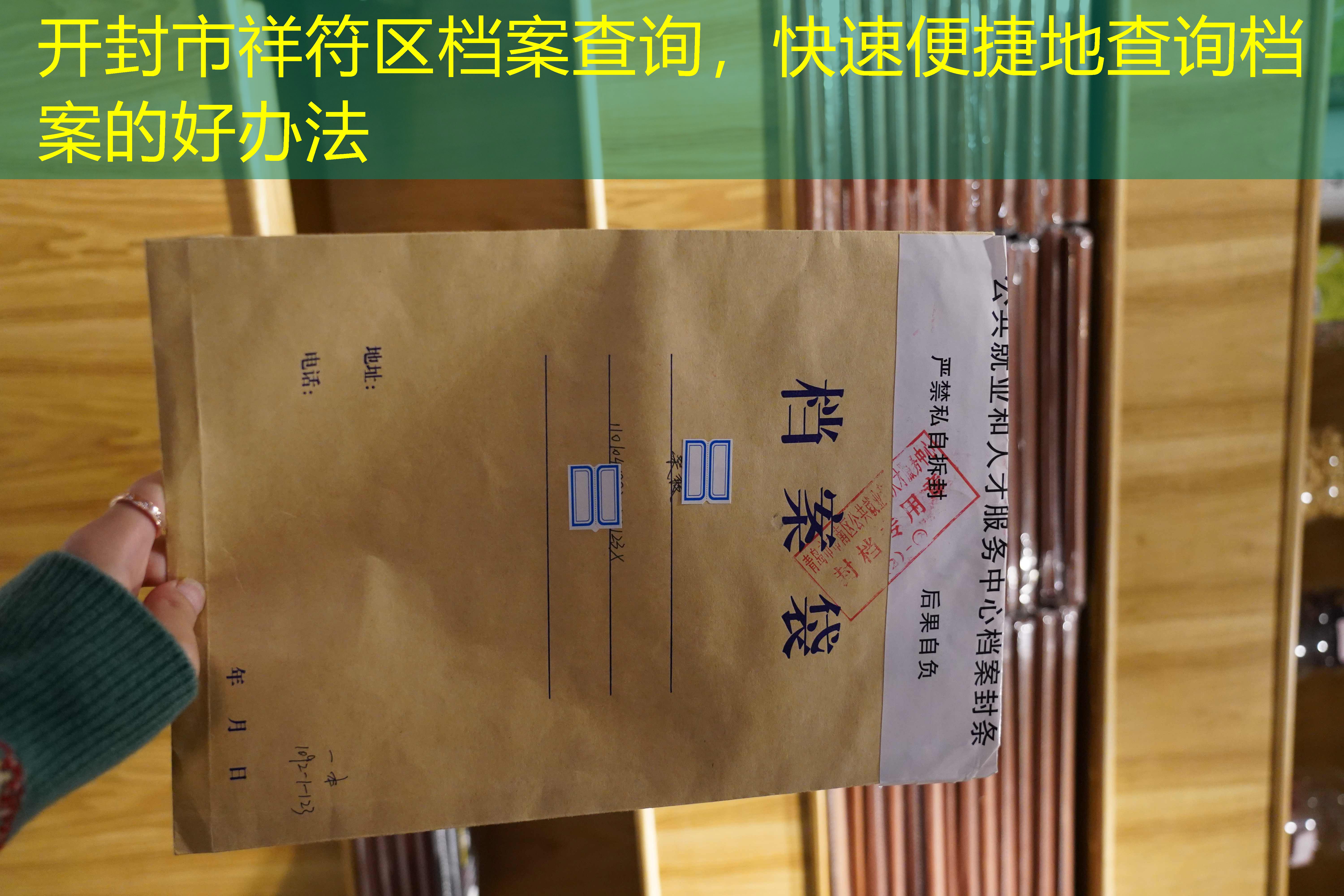 档案查询
