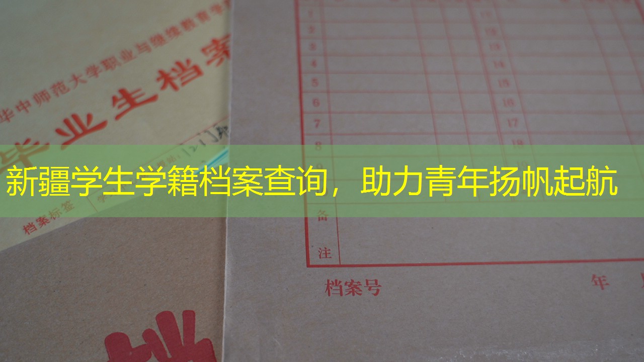 档案查询