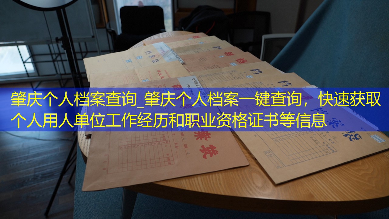 档案查询