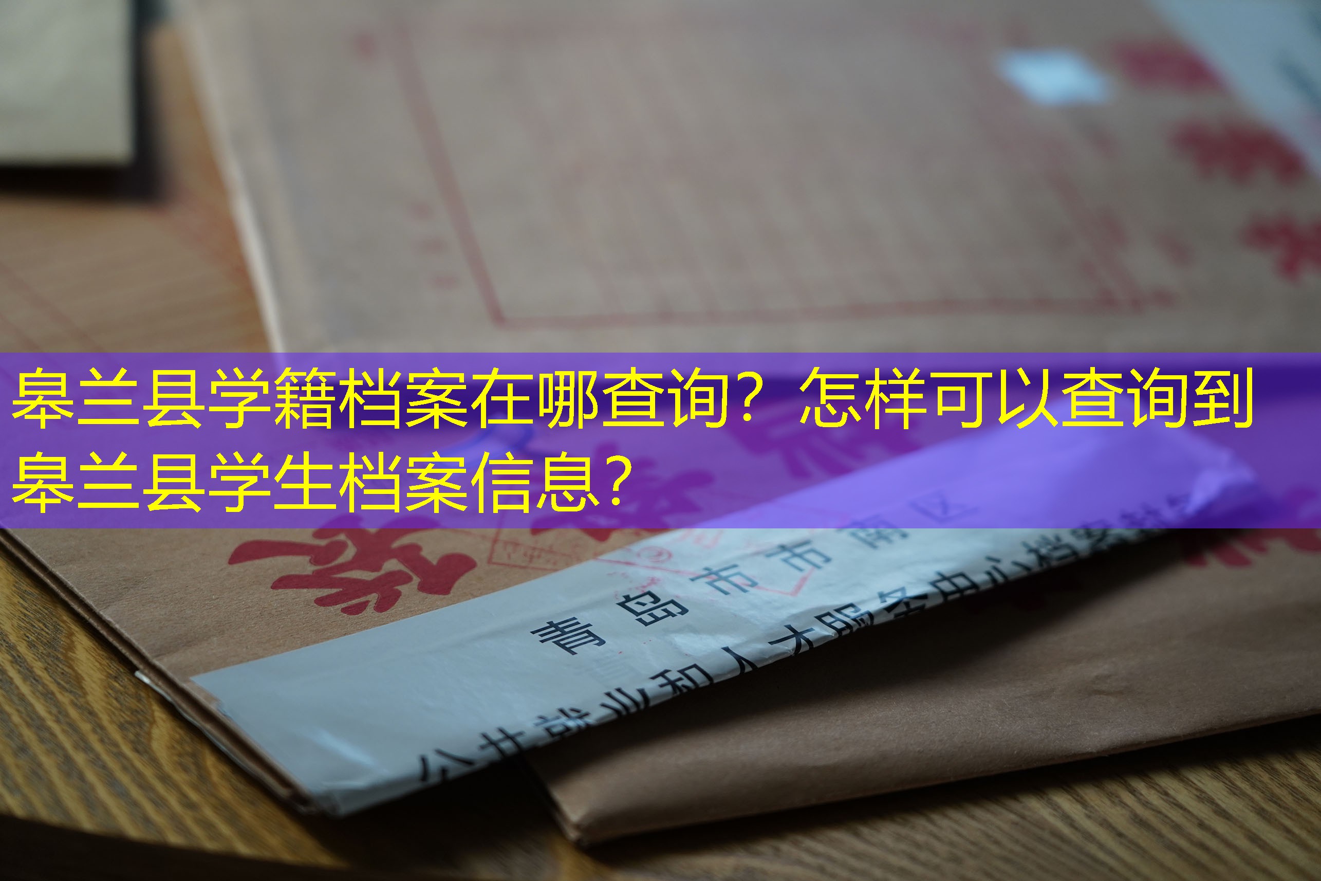 档案查询