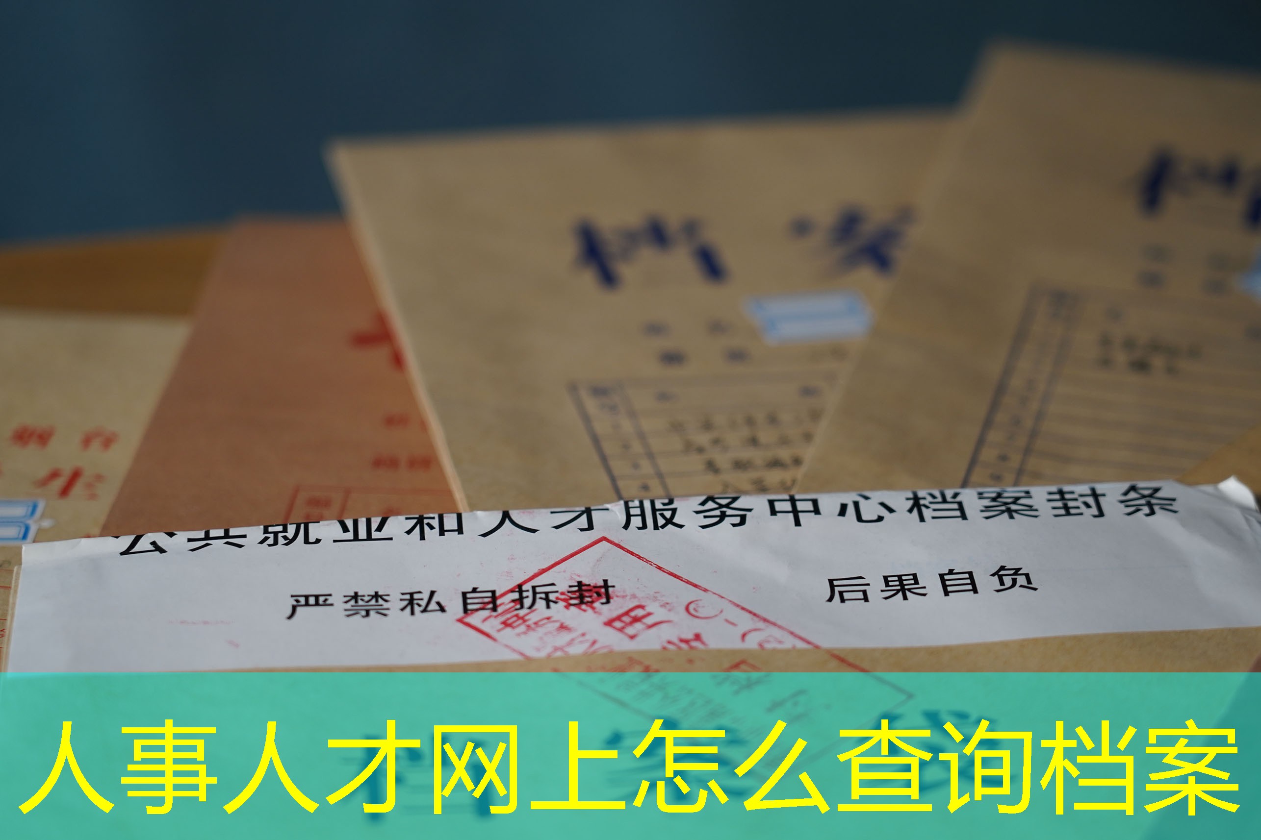 档案查询