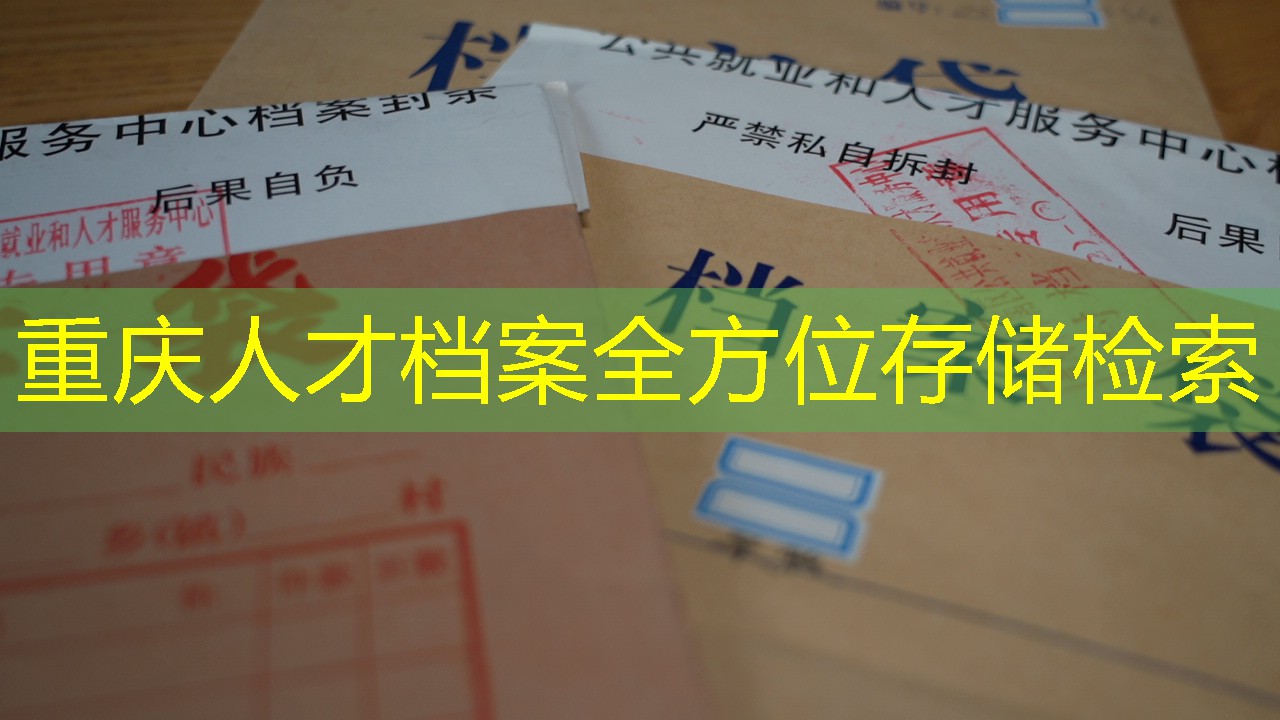 档案查询