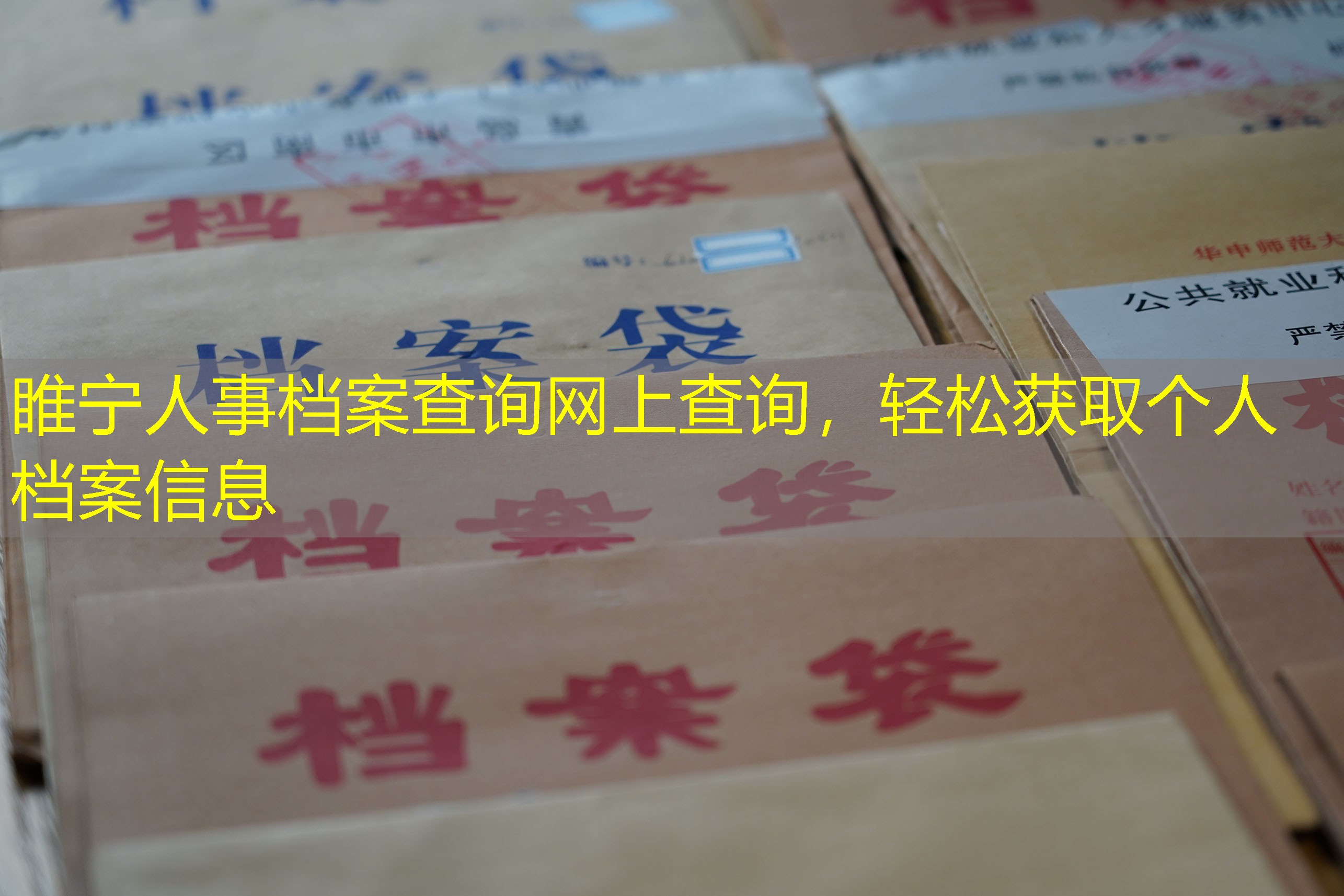 档案查询