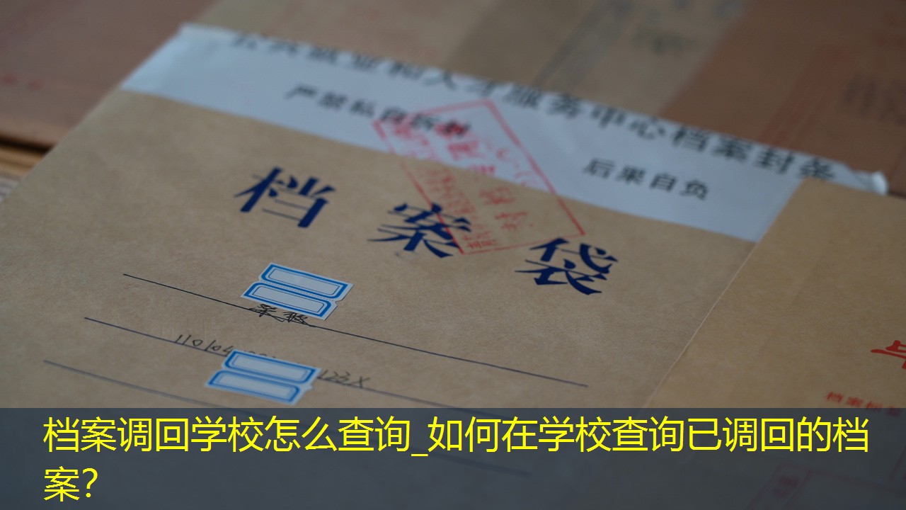 档案查询