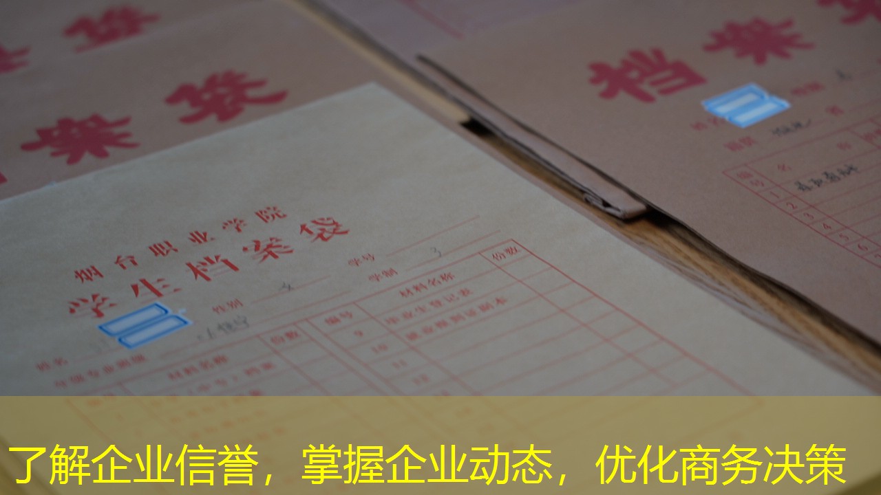 档案查询