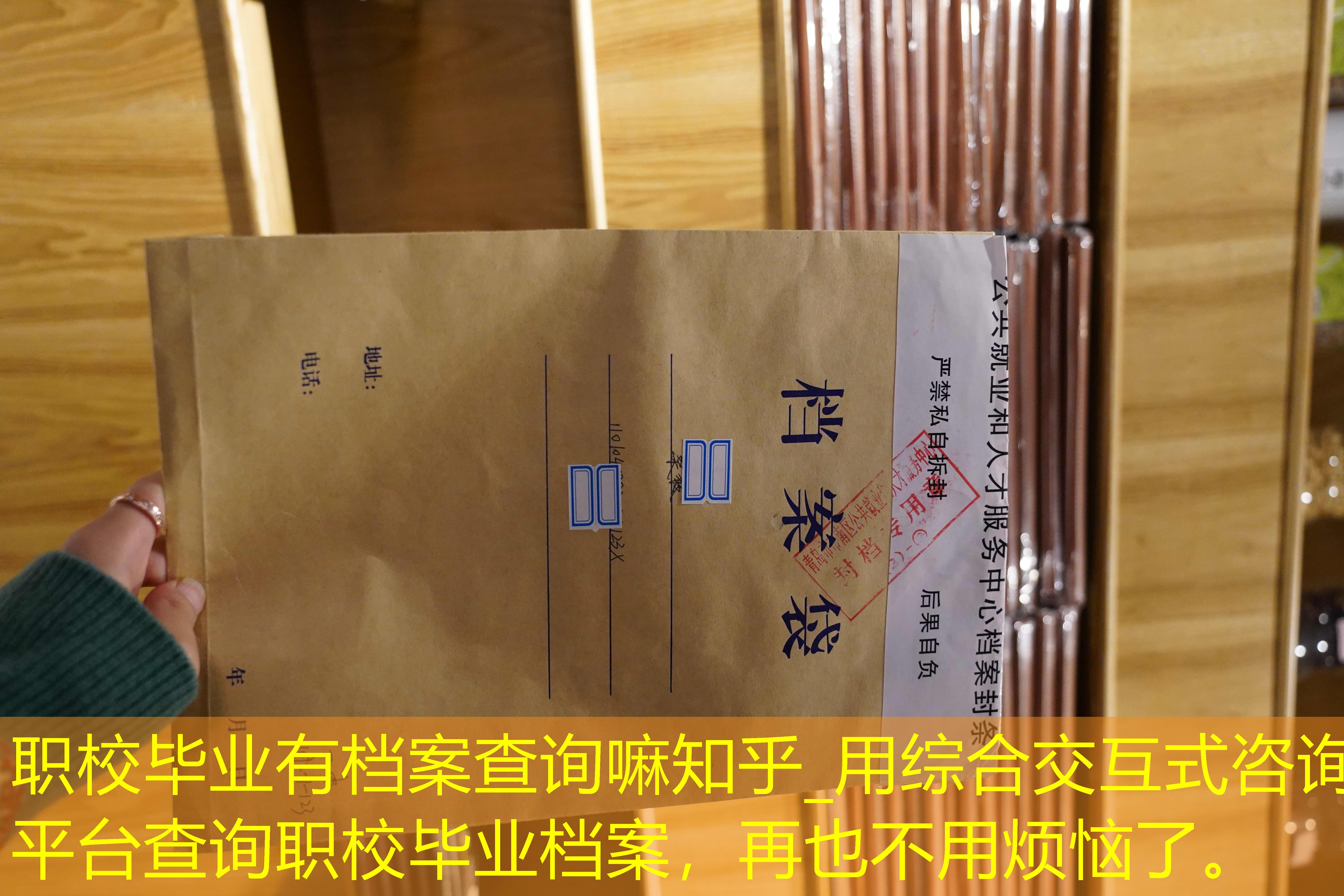 档案查询