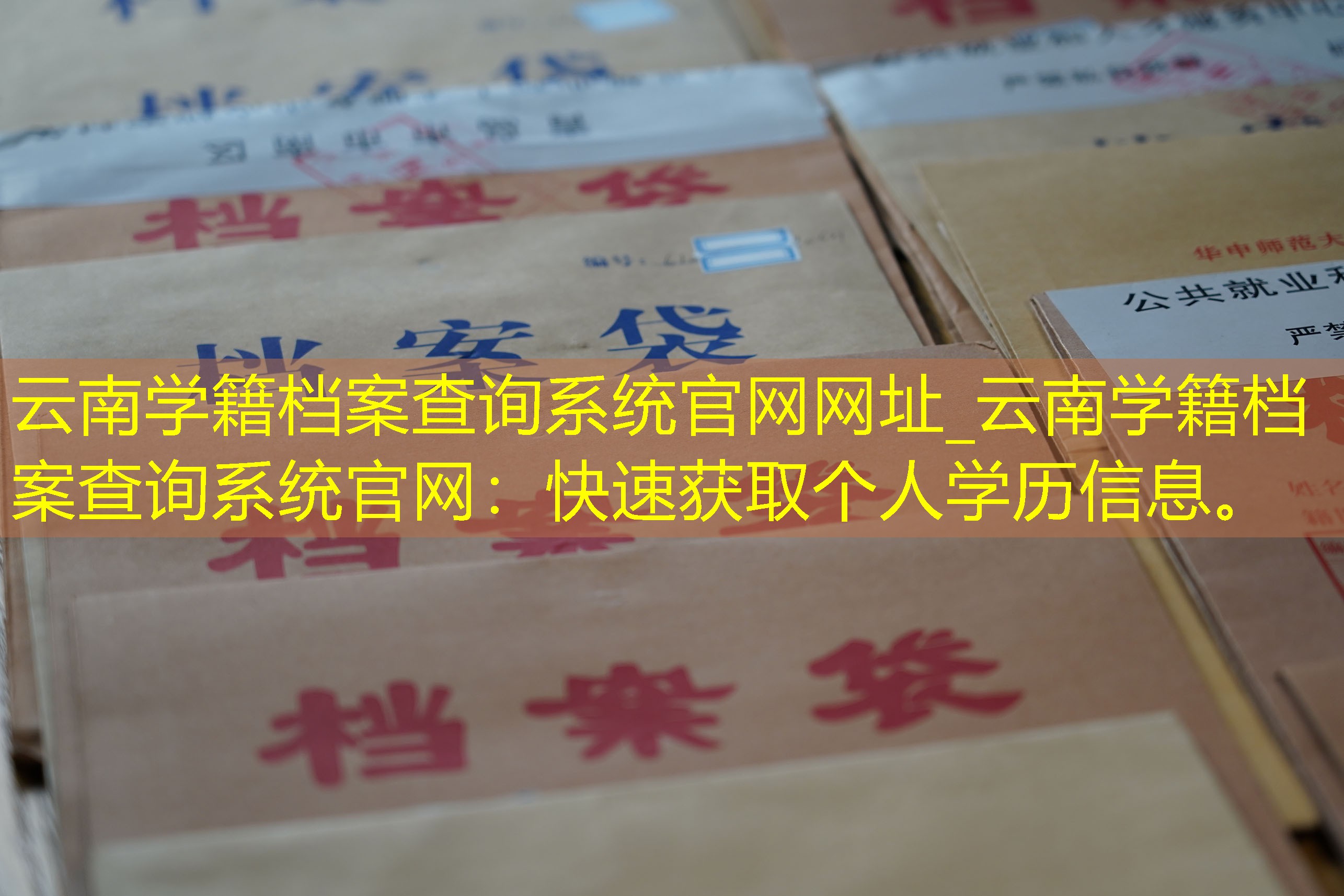 档案查询