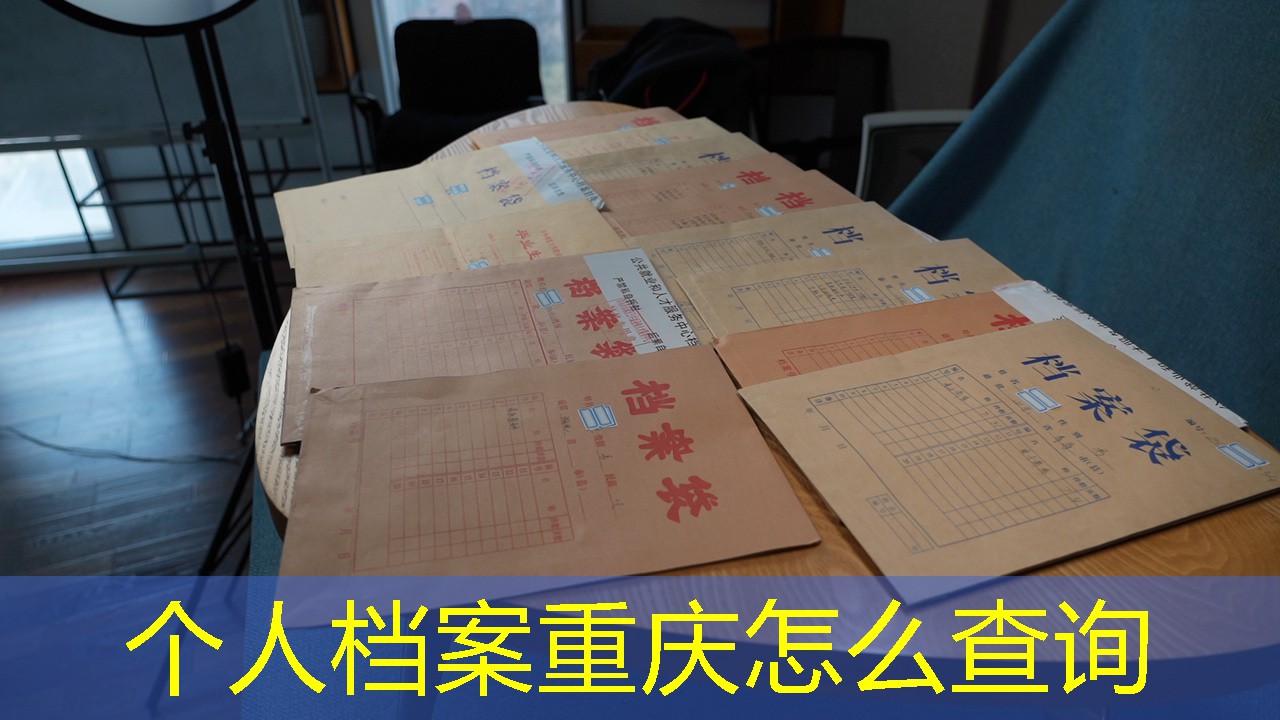 档案查询