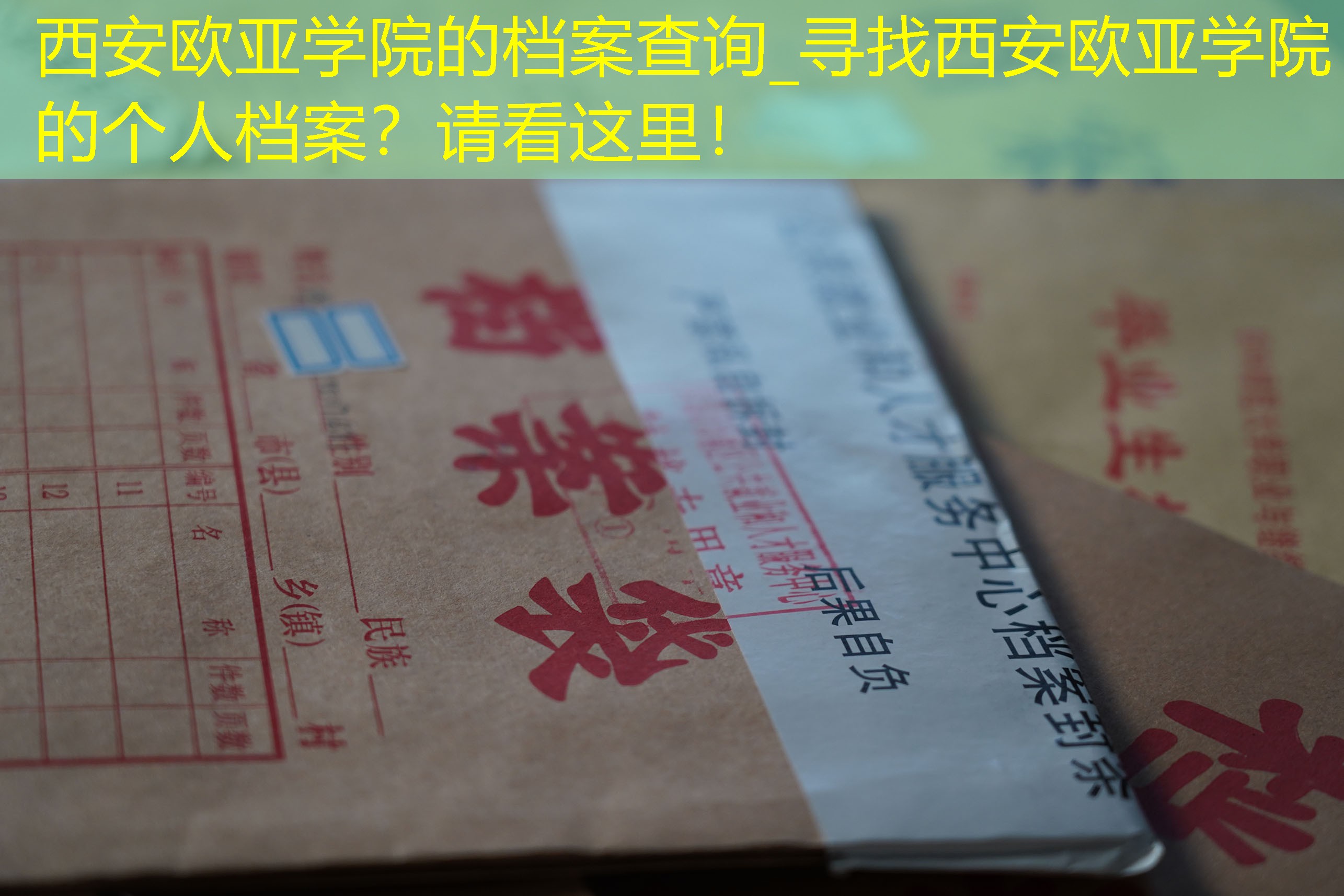 档案查询