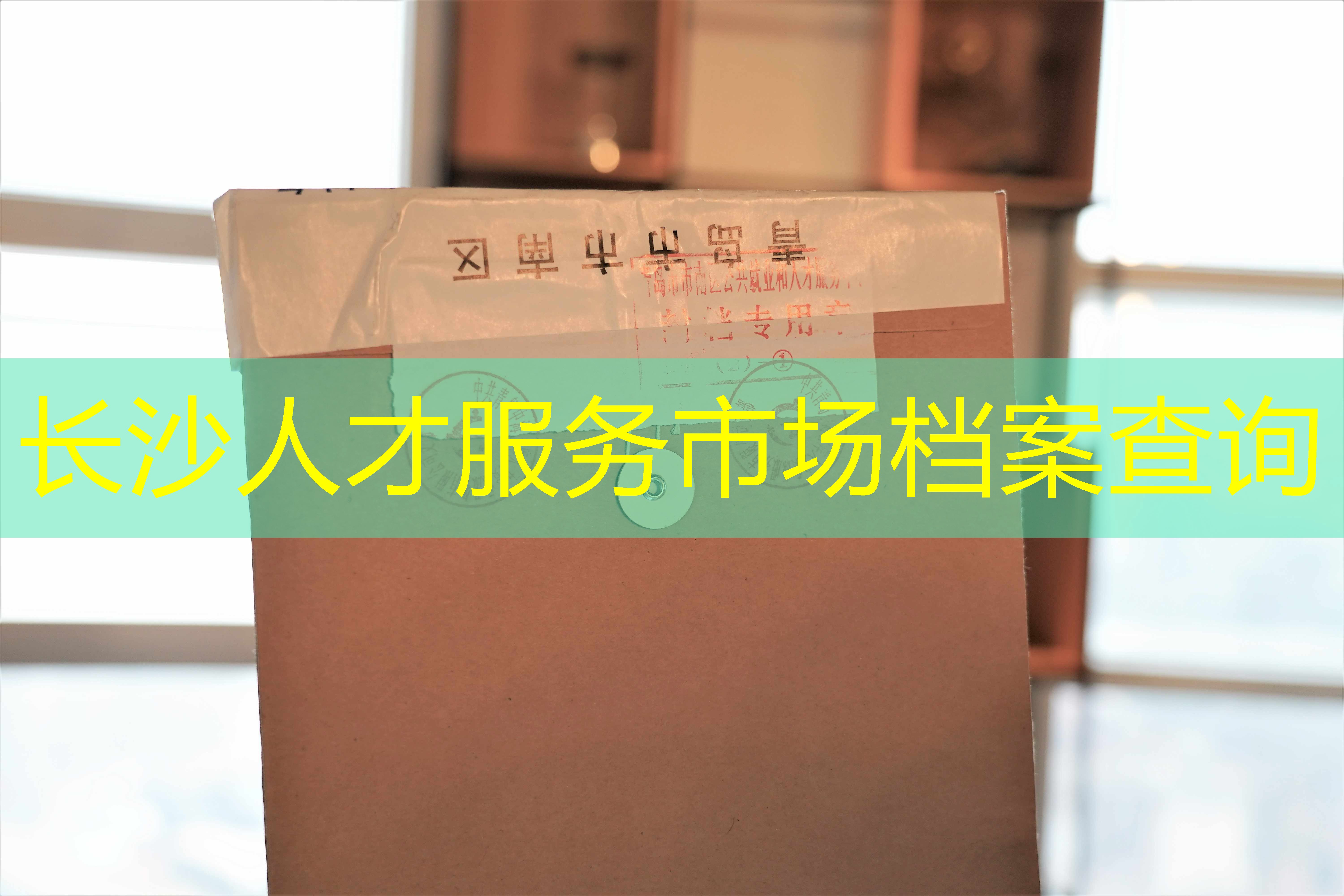 档案查询