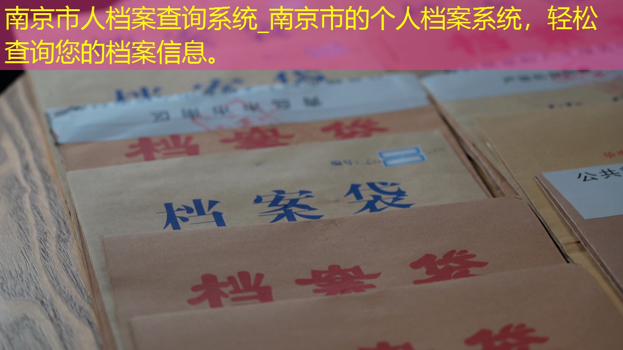 档案查询