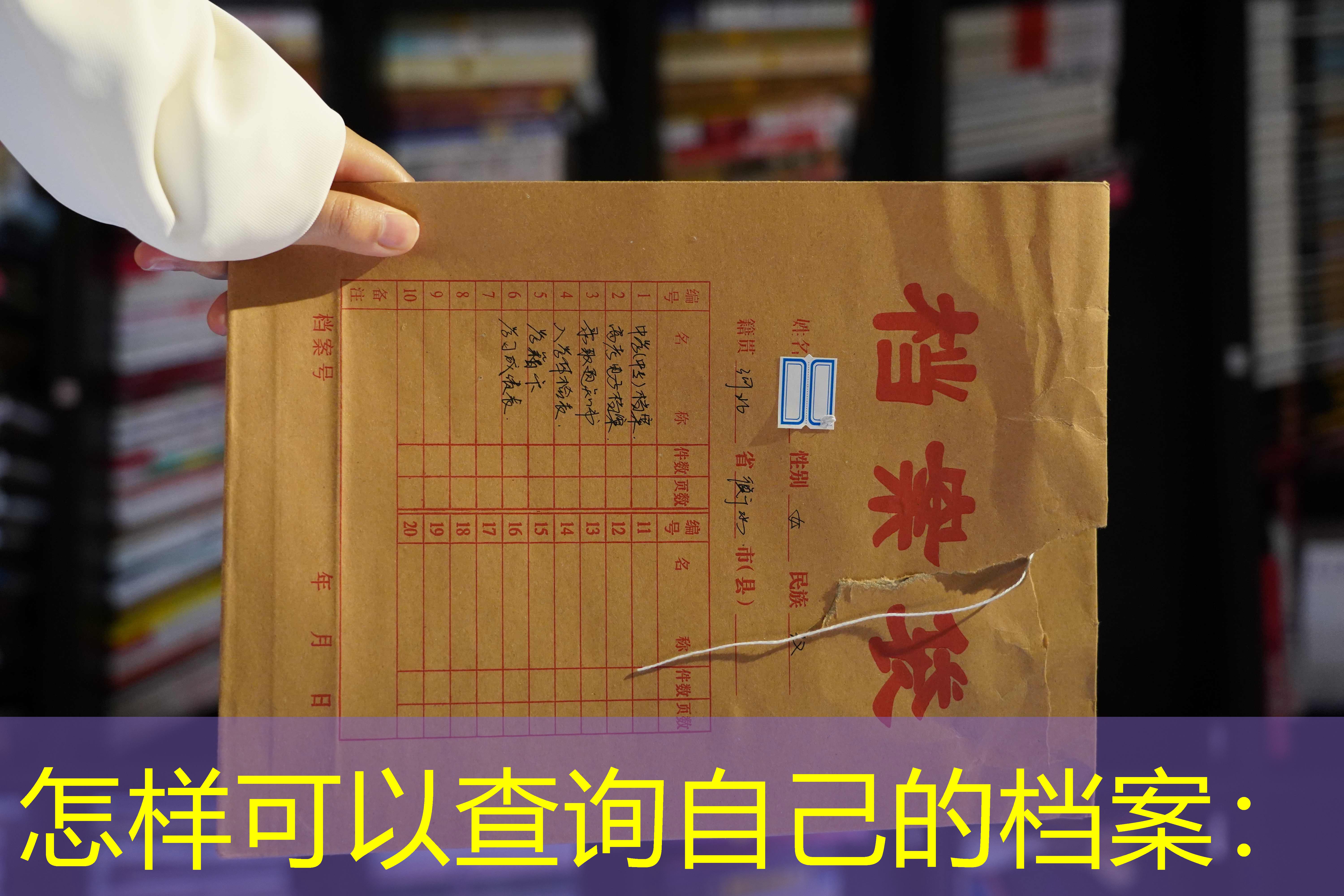 档案查询