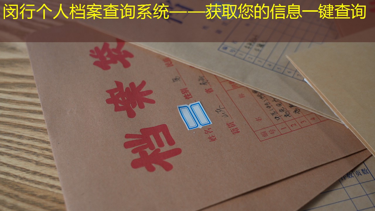 档案查询