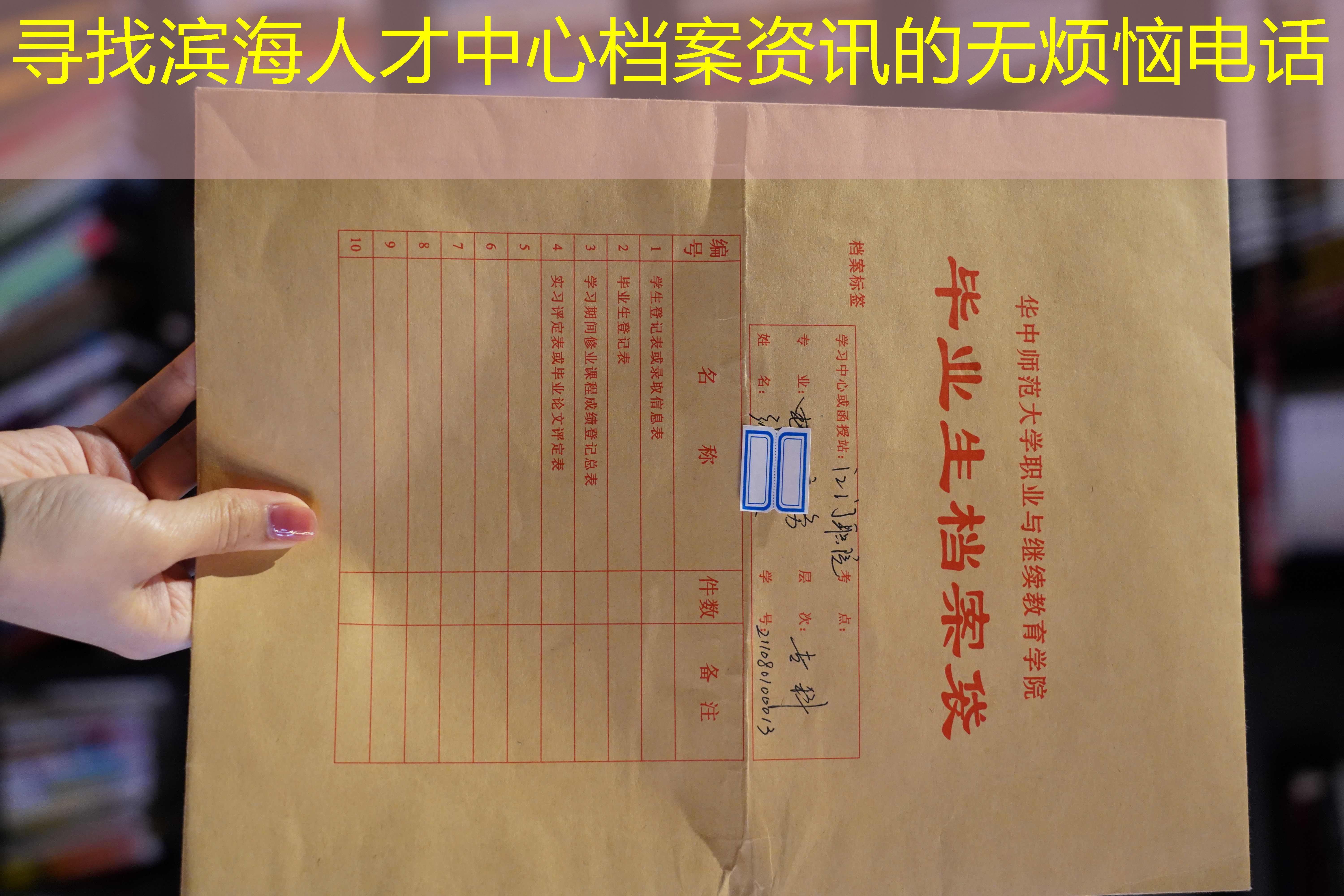 档案查询