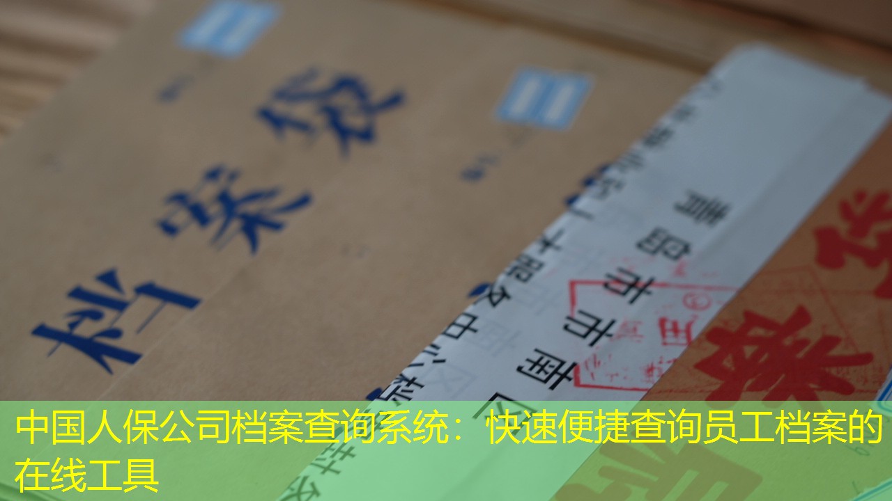档案查询