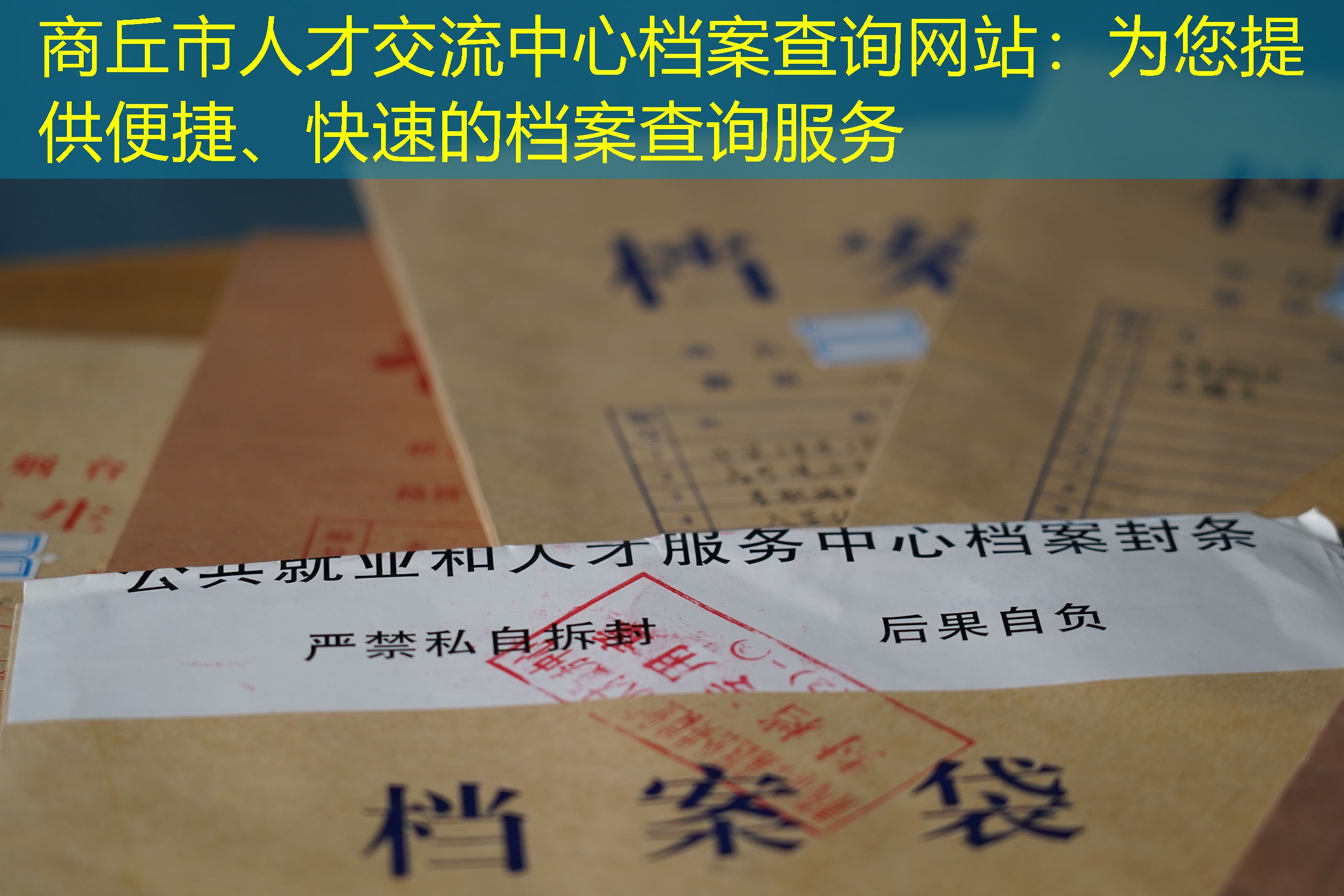 档案查询