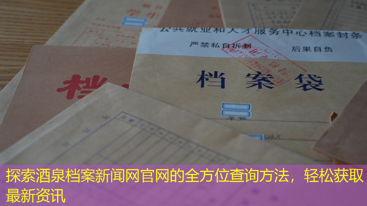 档案查询