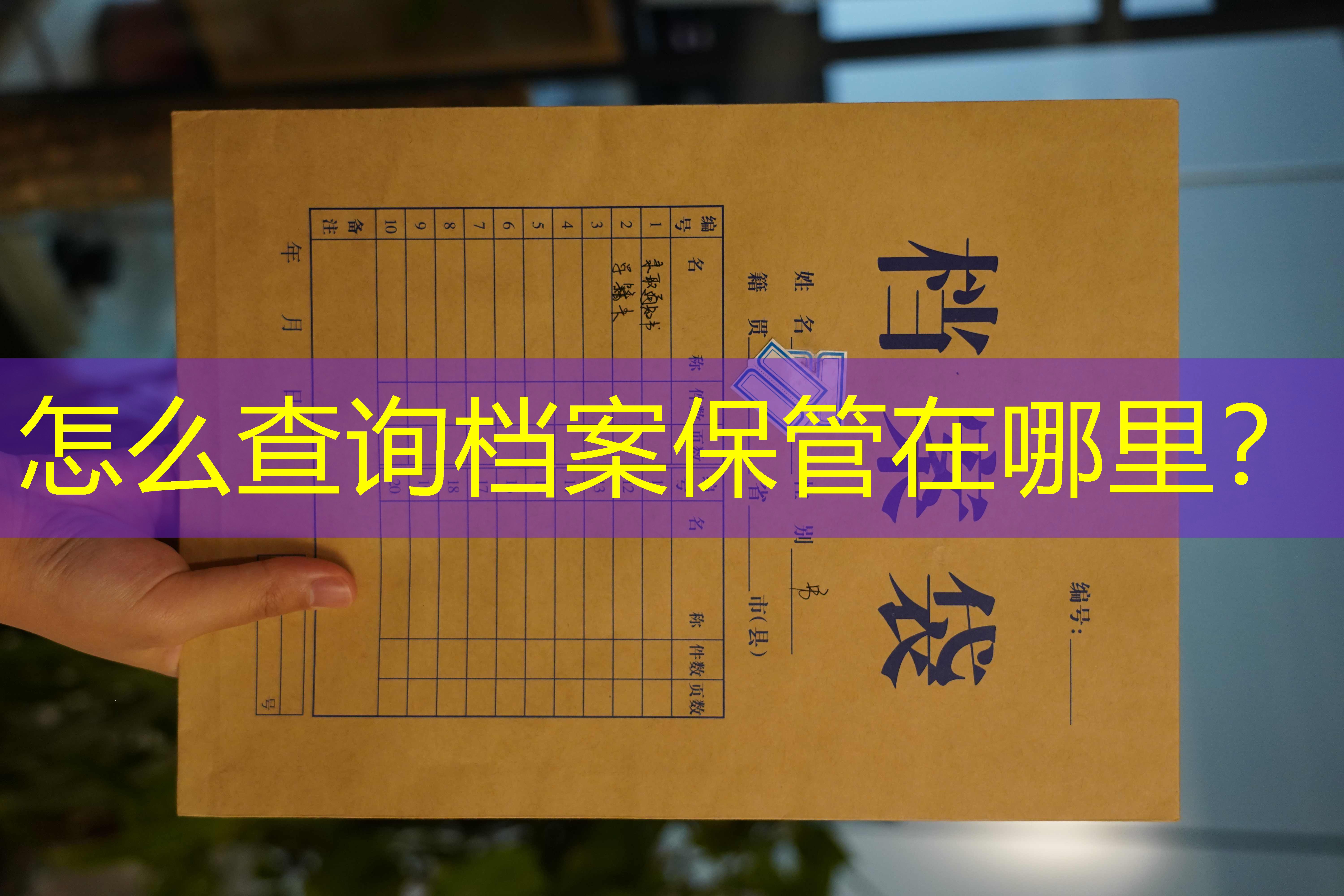 档案查询