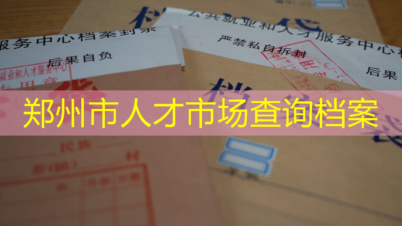 档案查询
