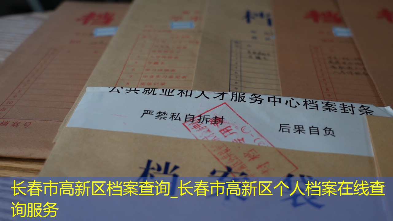 档案查询