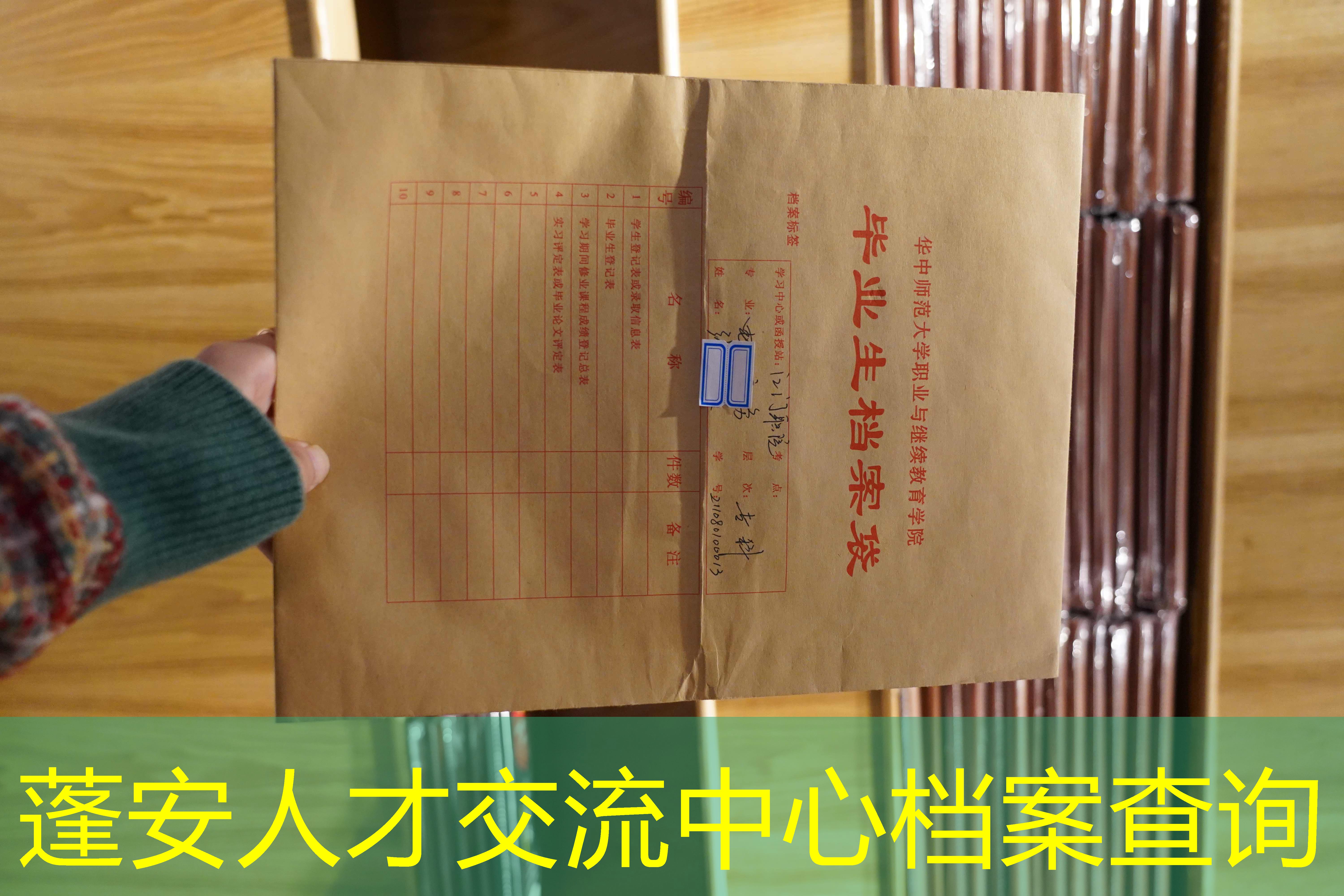 档案查询