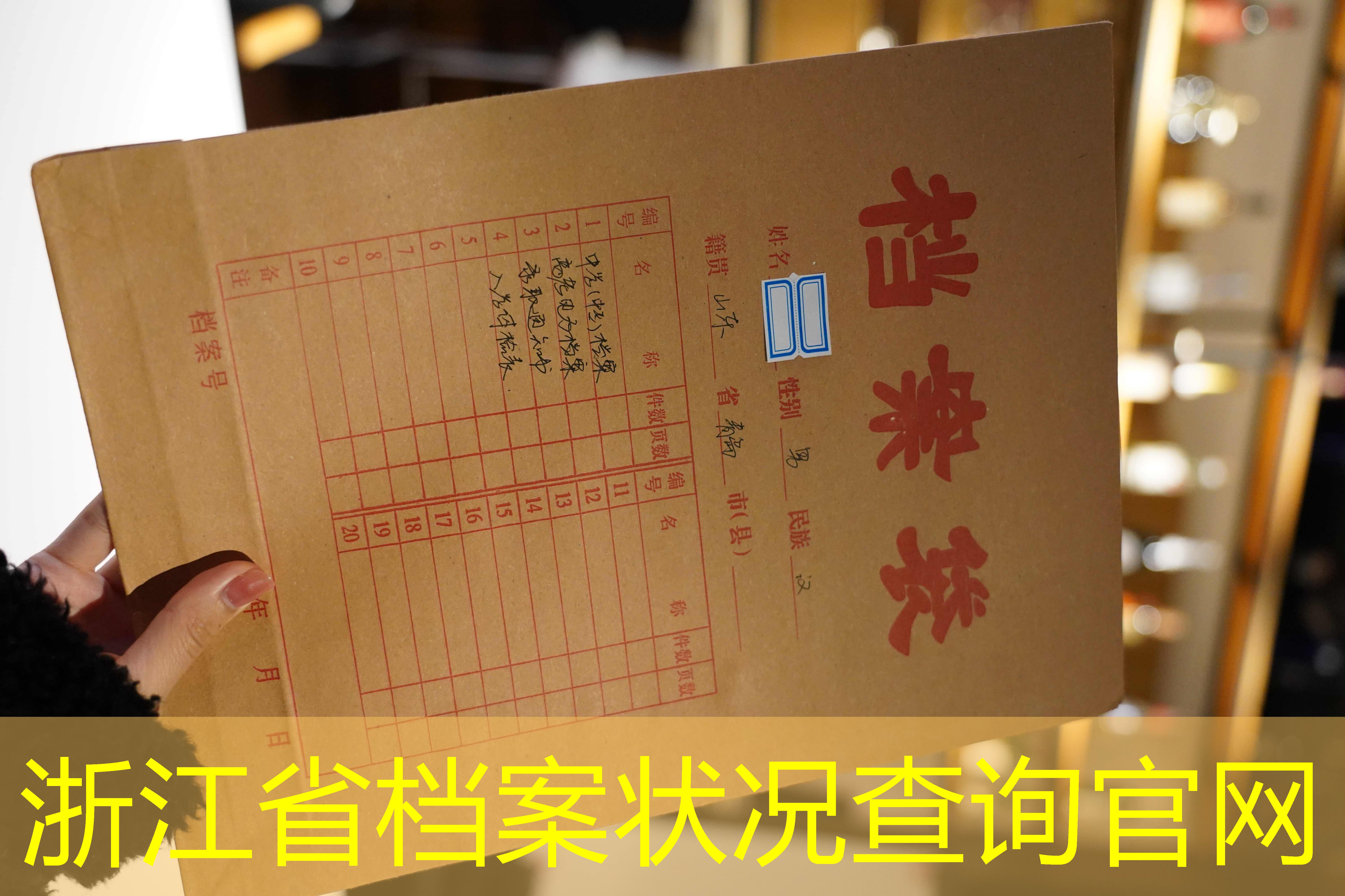 档案查询