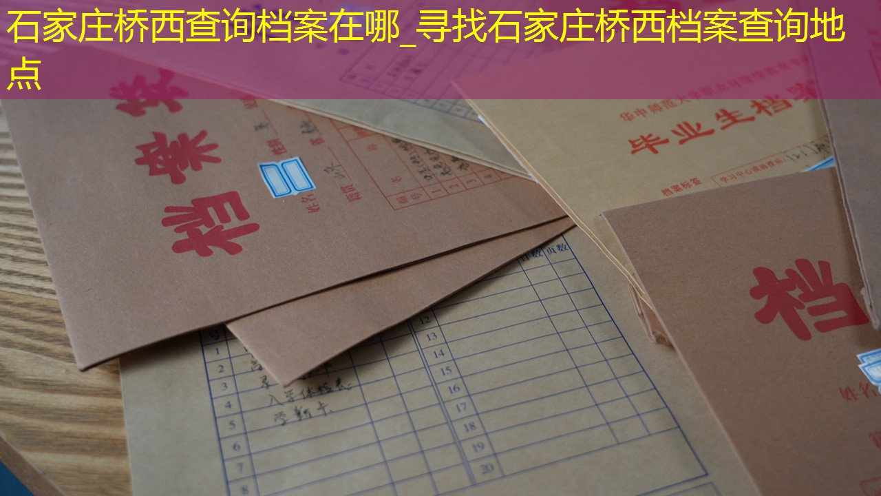 档案查询