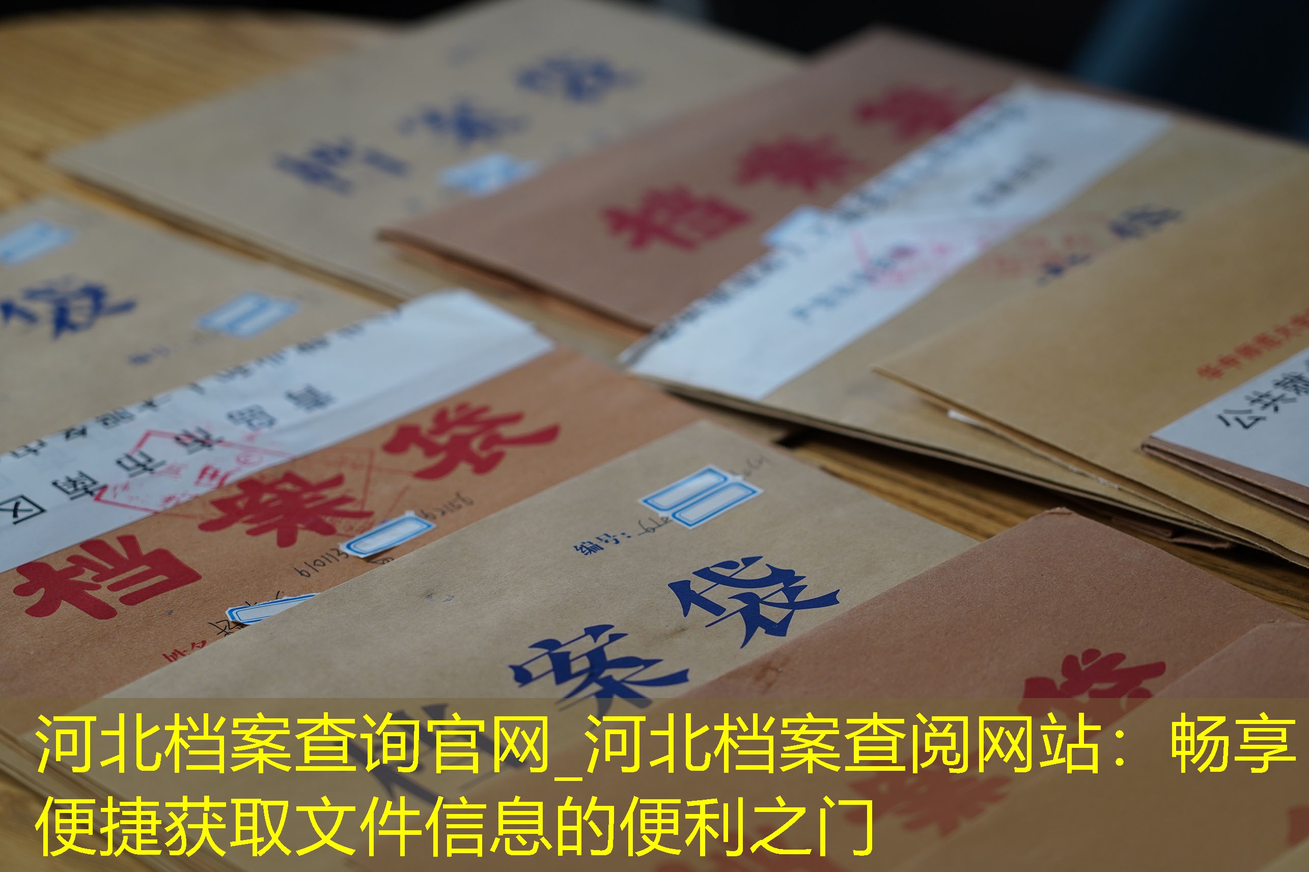 档案查询