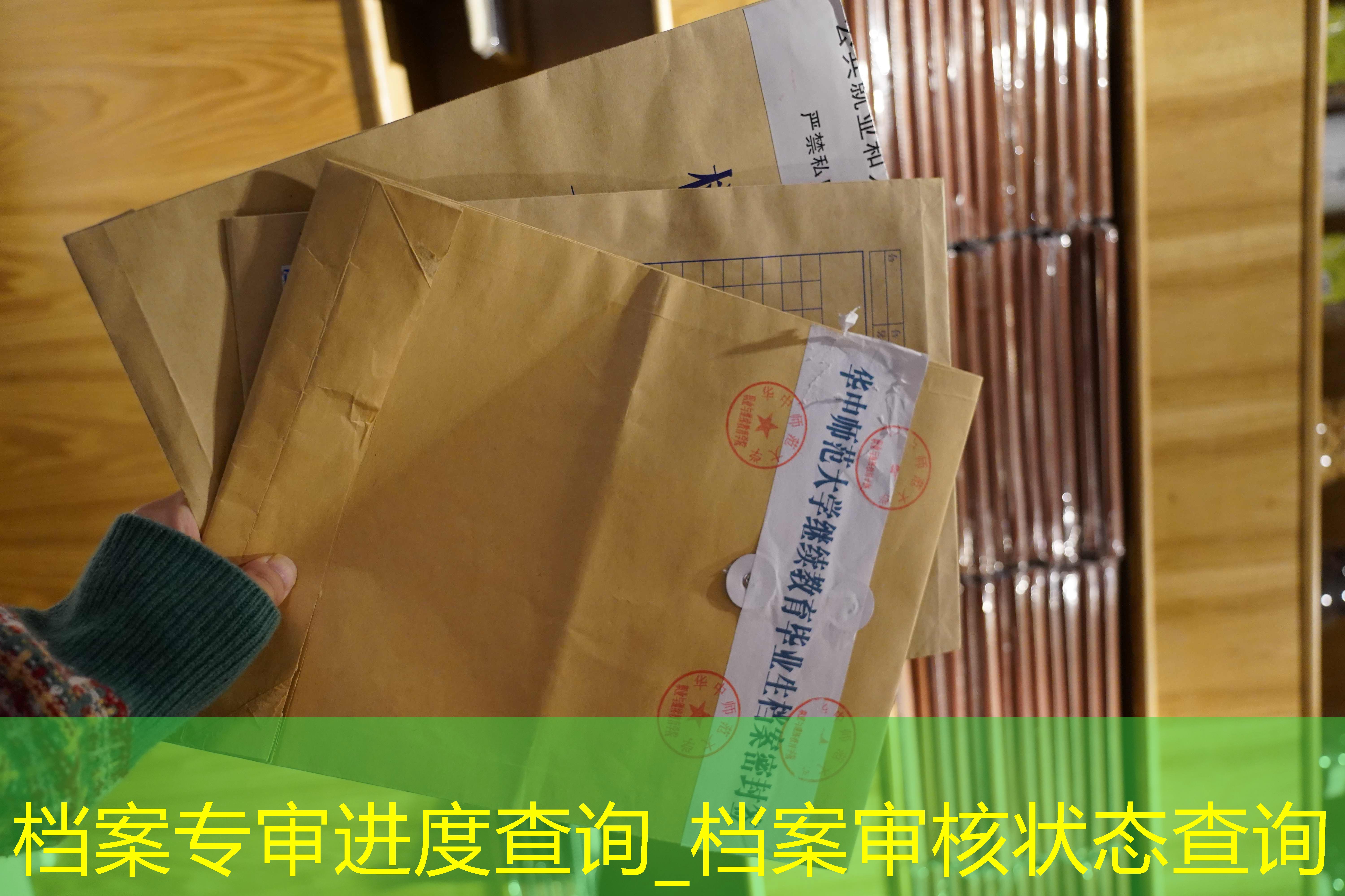 档案查询