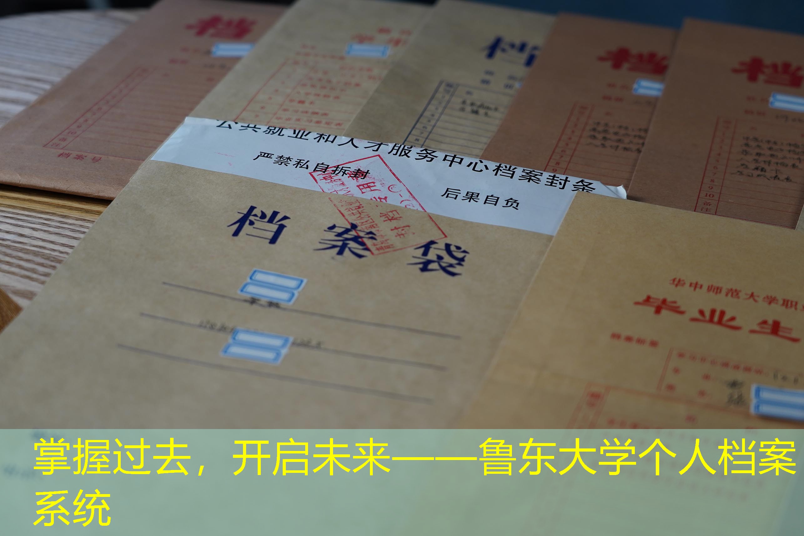 档案查询