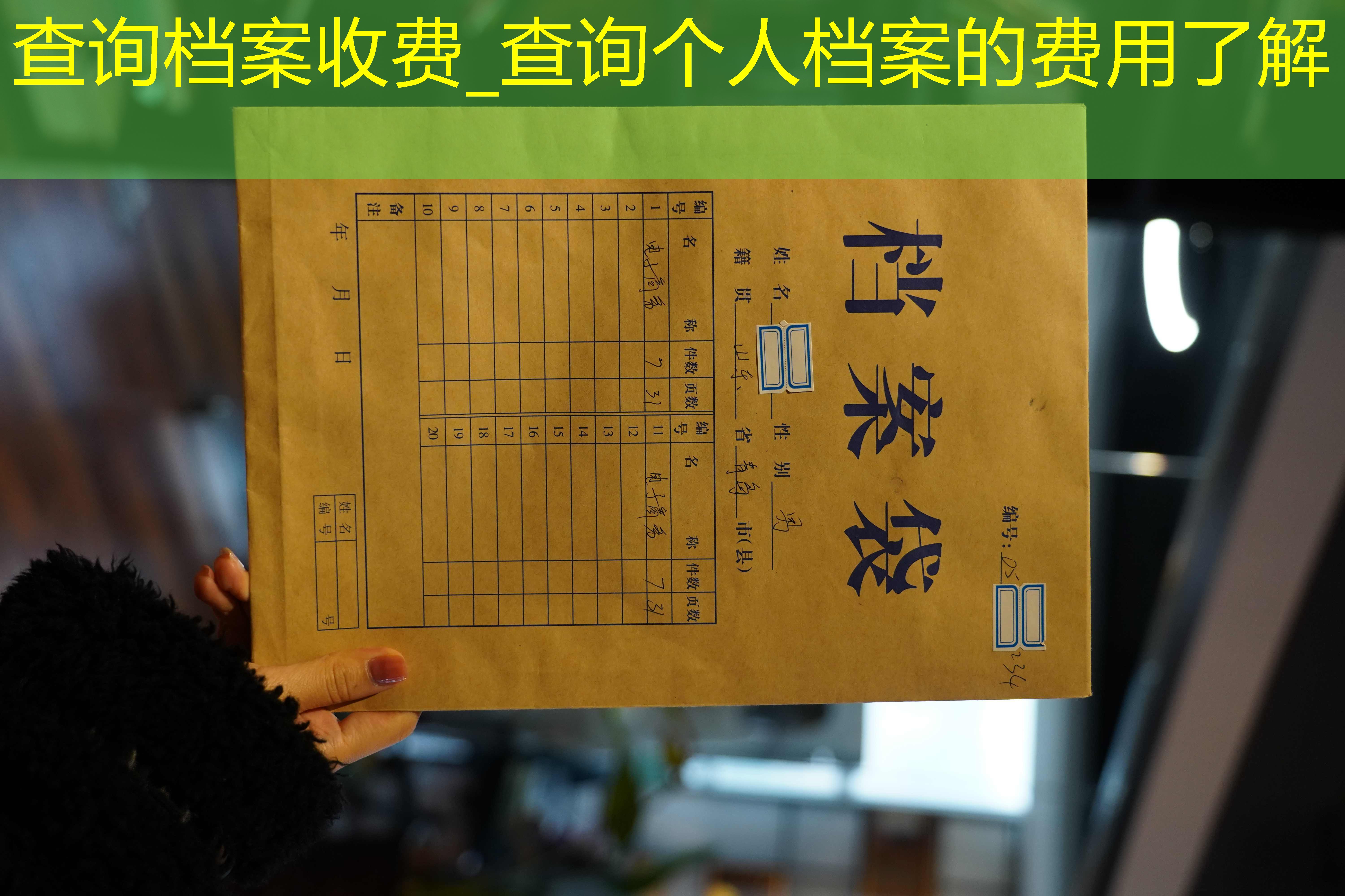 档案查询