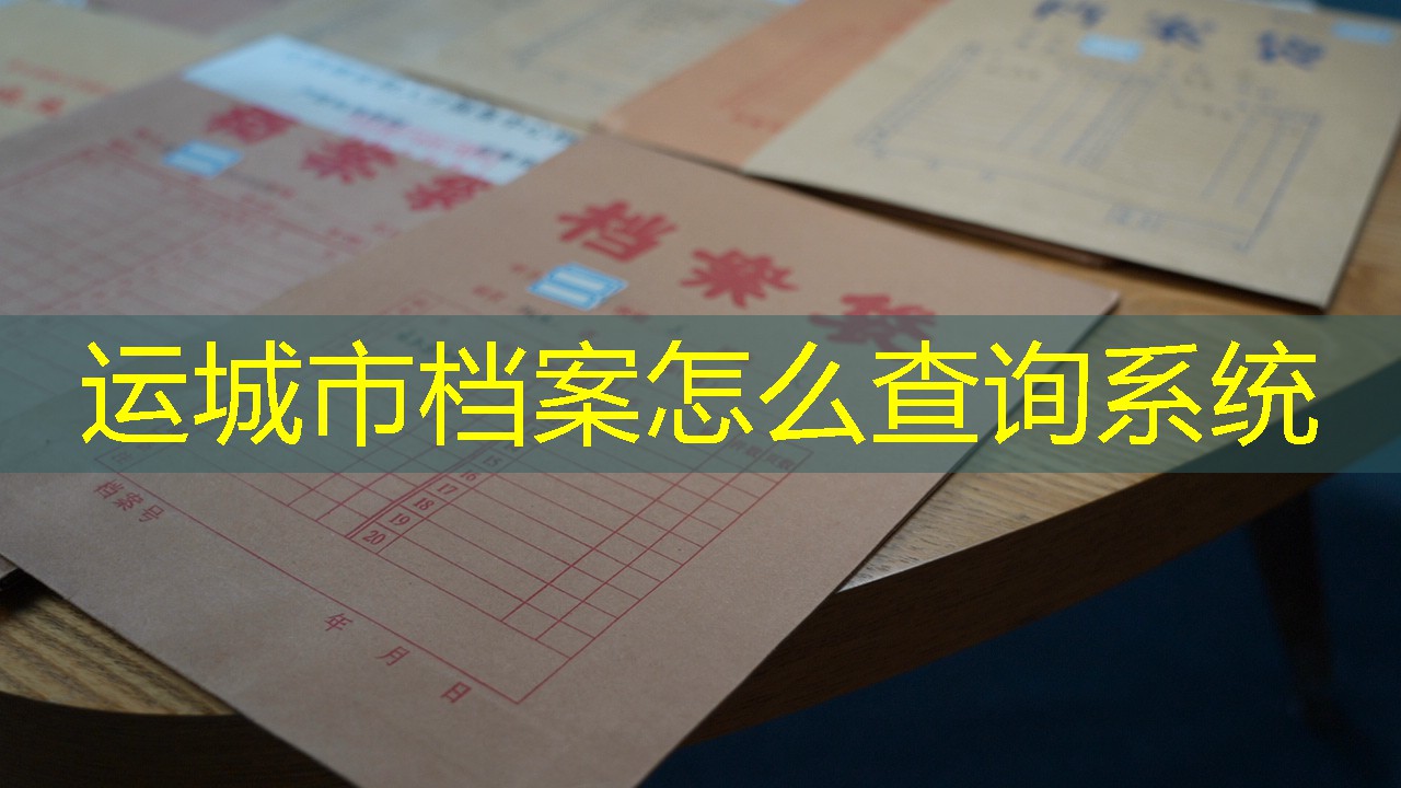 档案查询