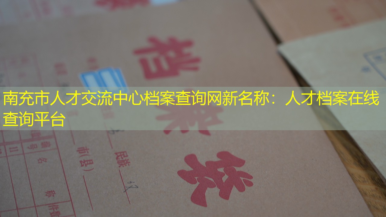 档案查询