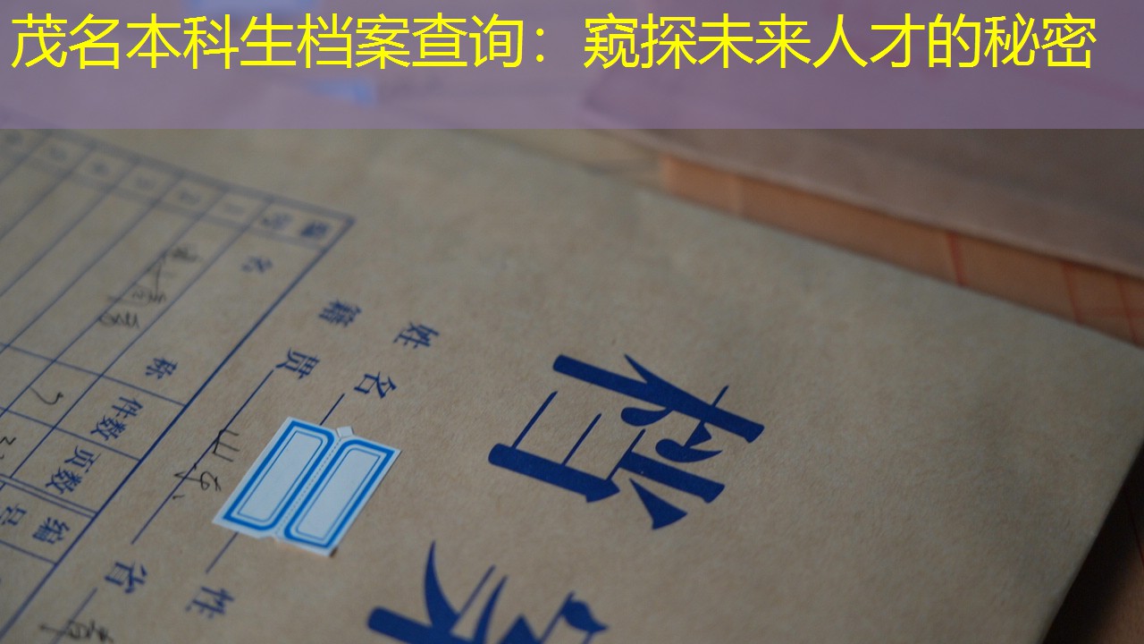 档案查询
