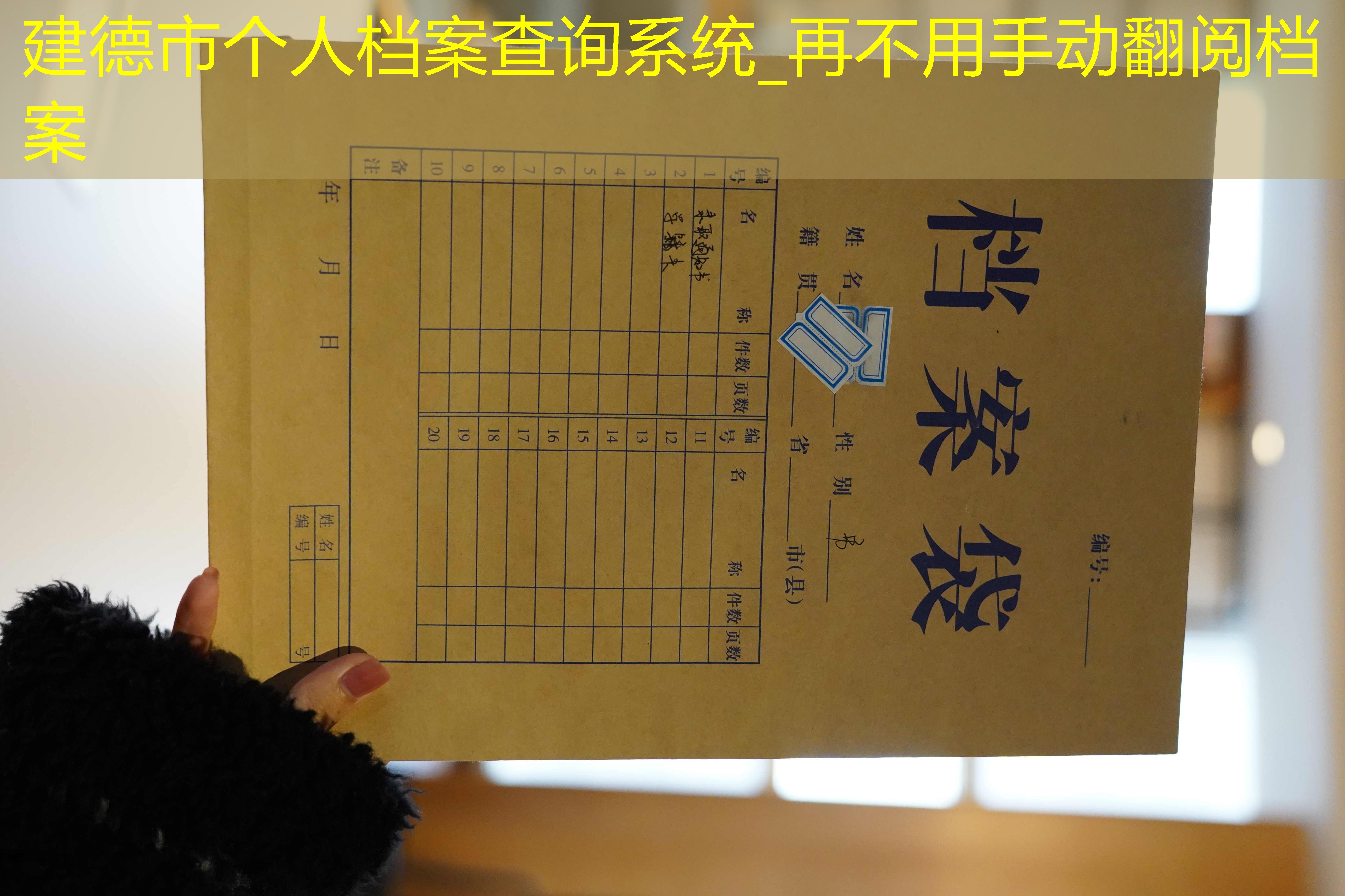 档案查询