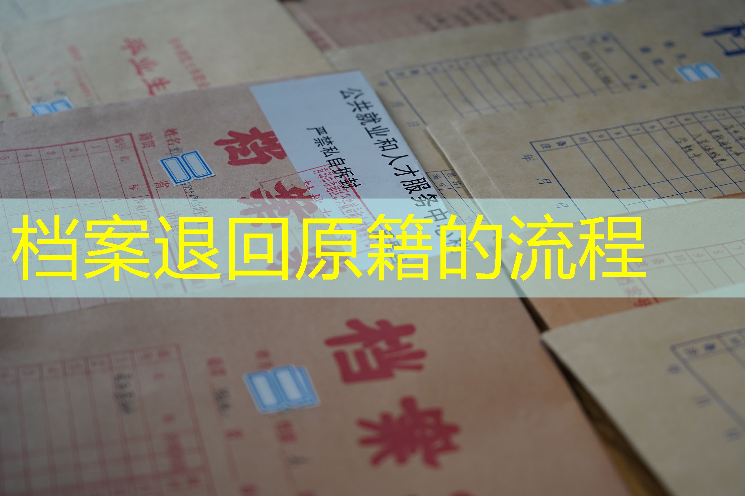 档案查询