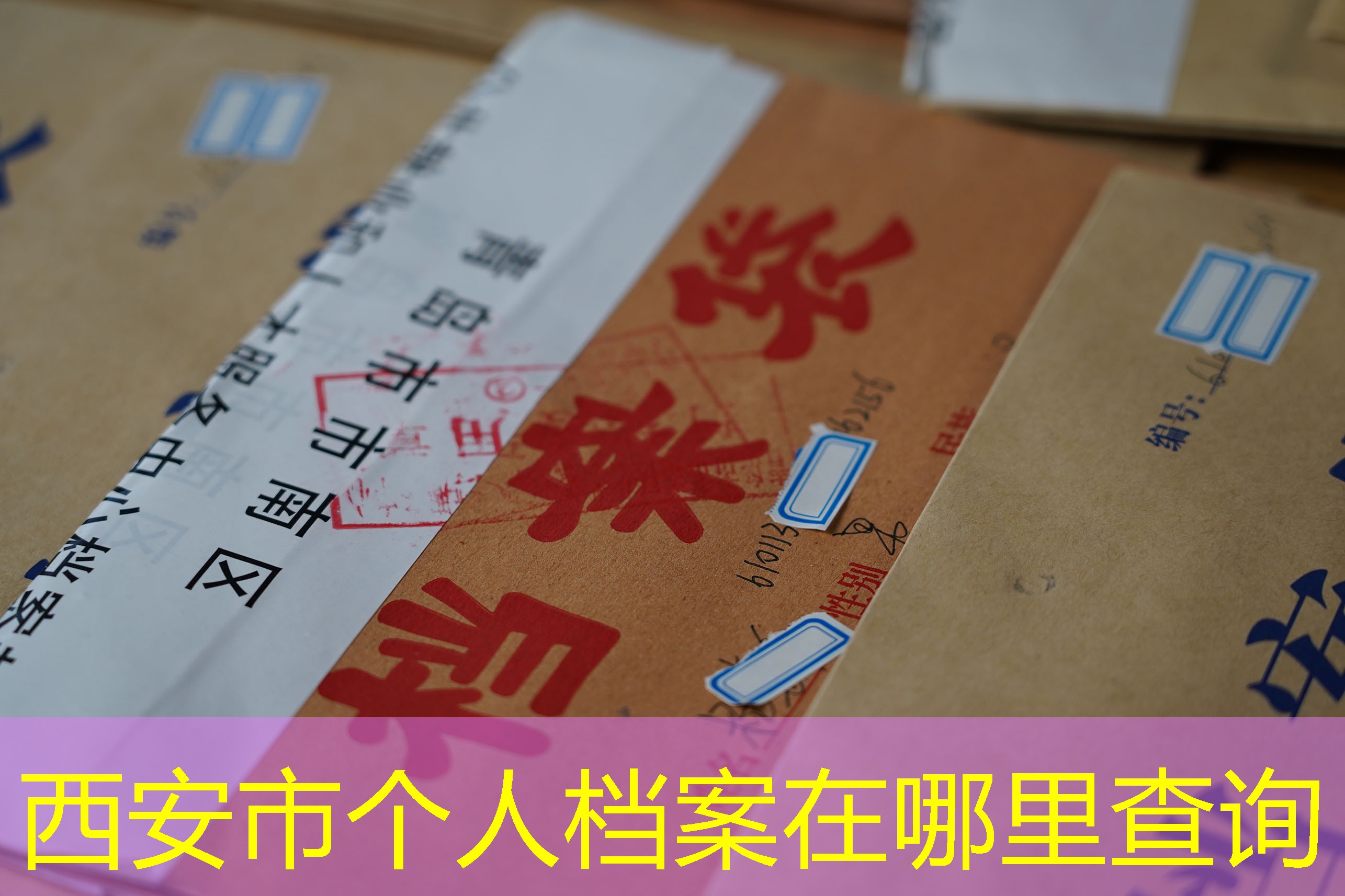 档案查询