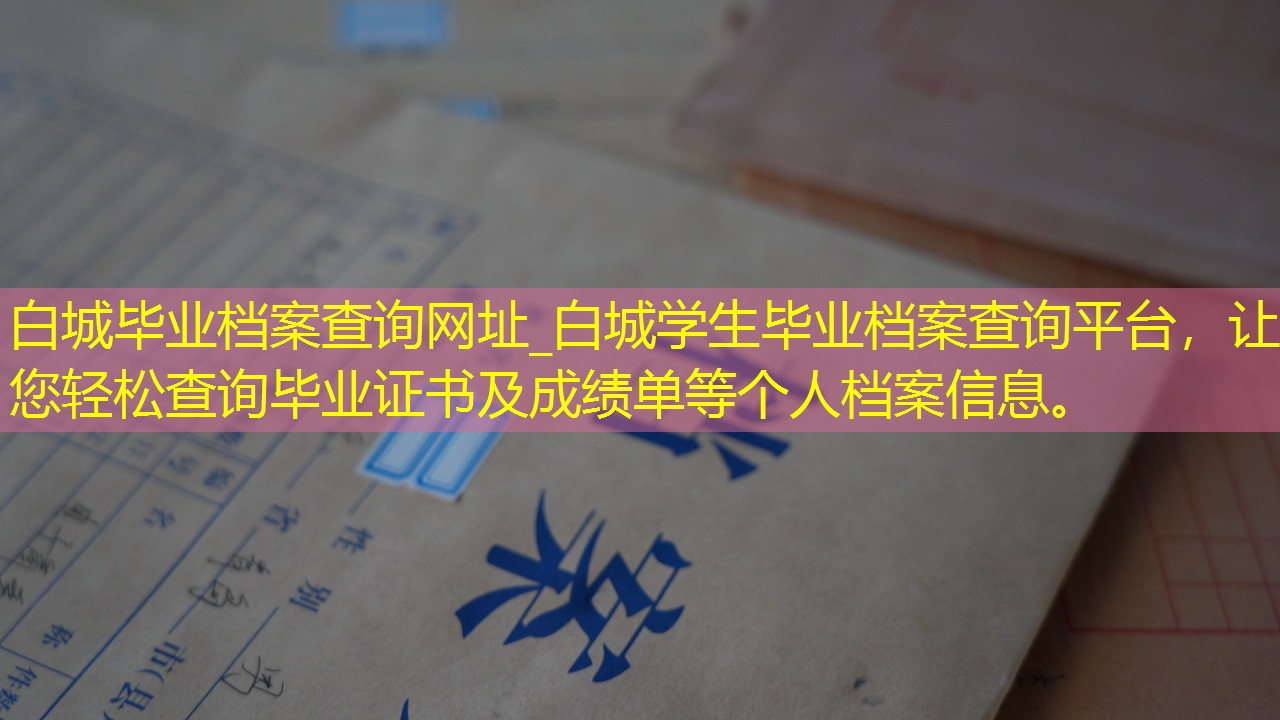 档案查询