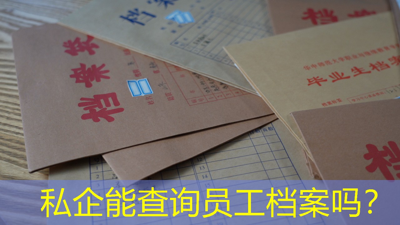 档案查询