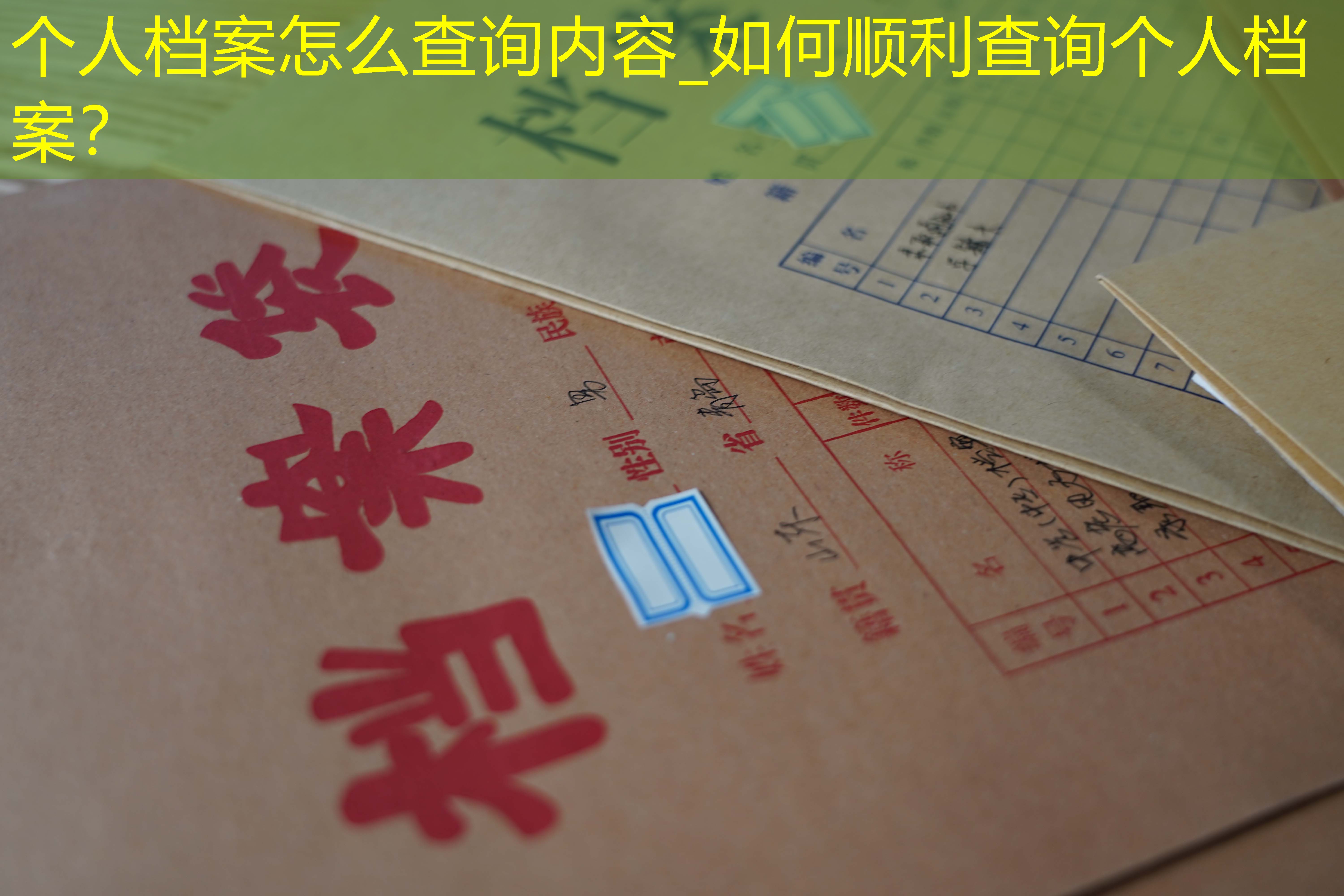 档案查询