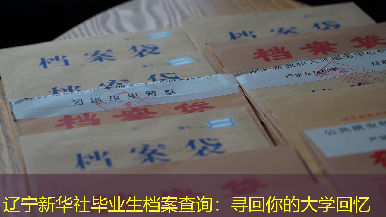 档案查询