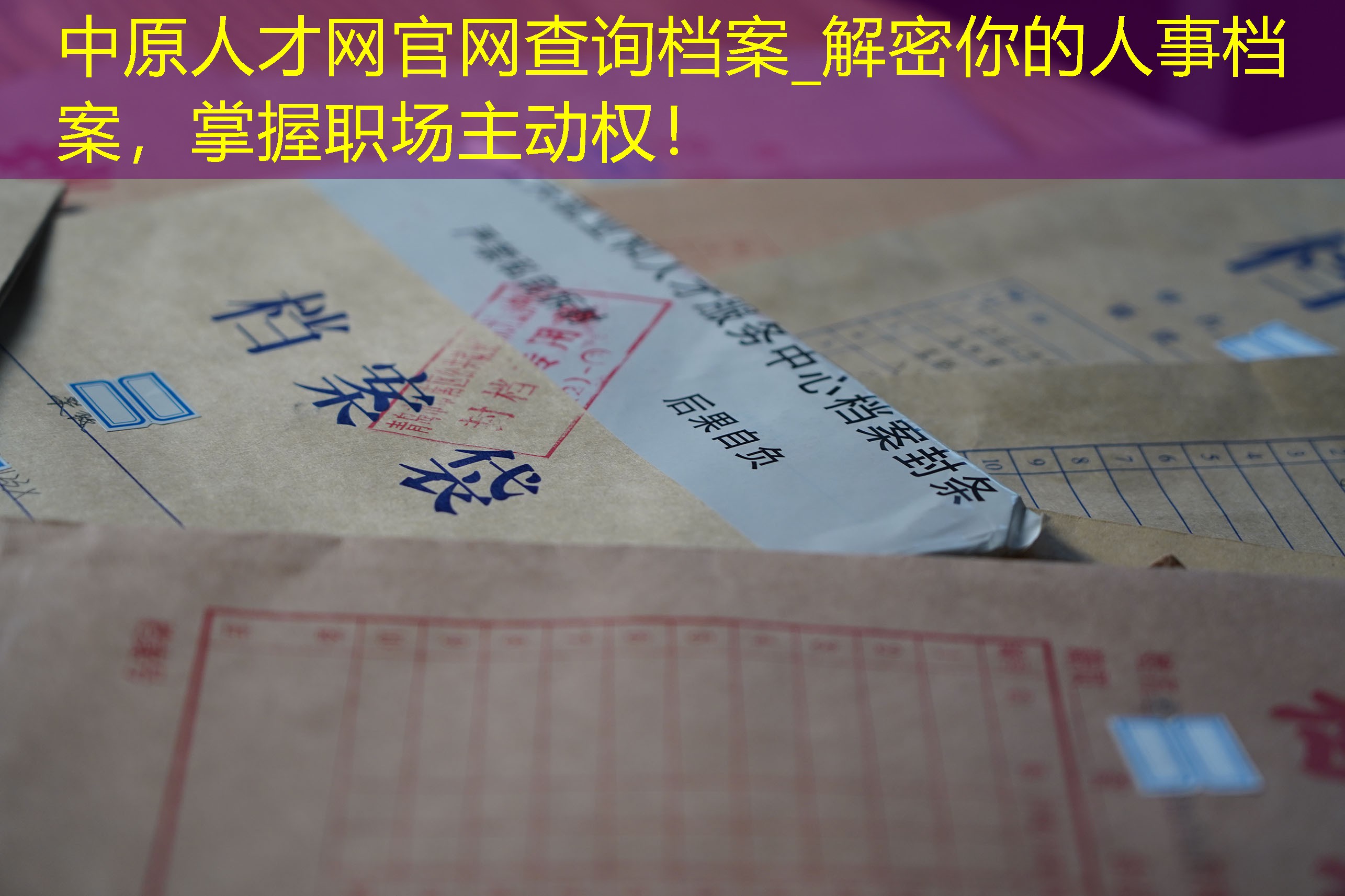 档案查询