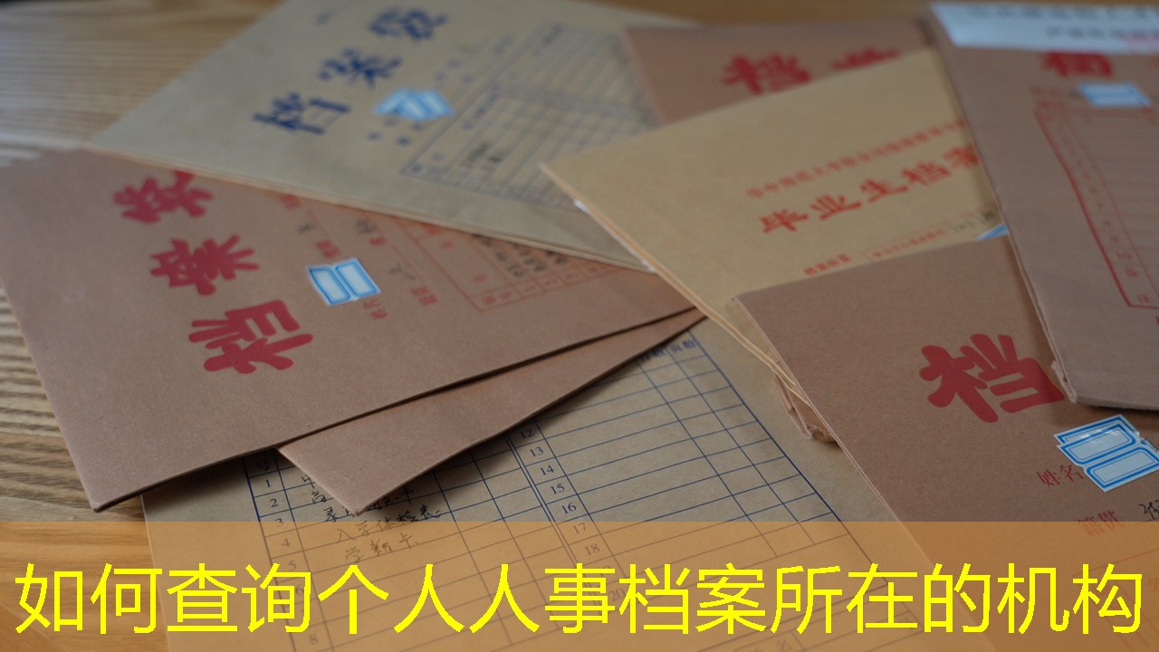 档案查询