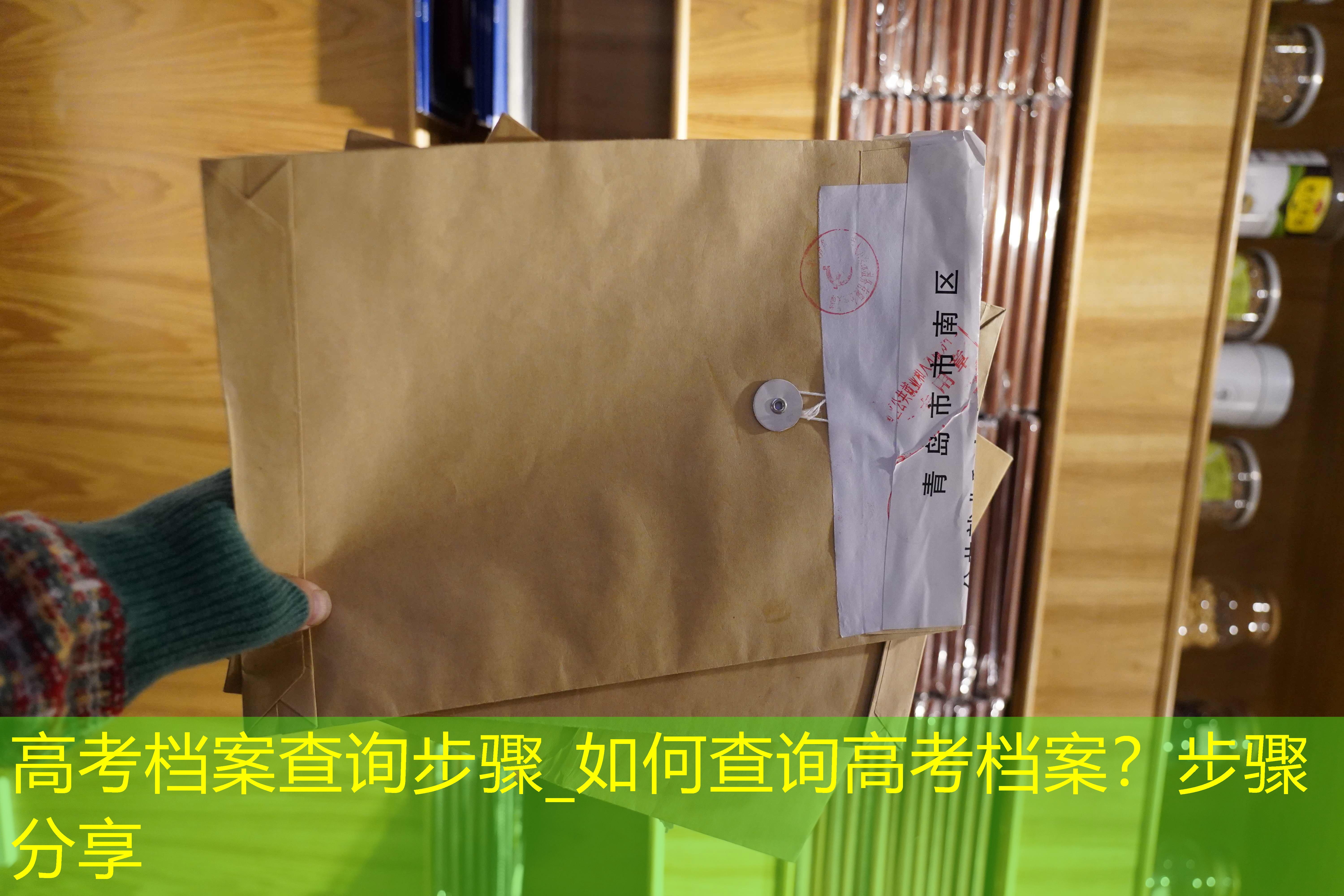 档案查询
