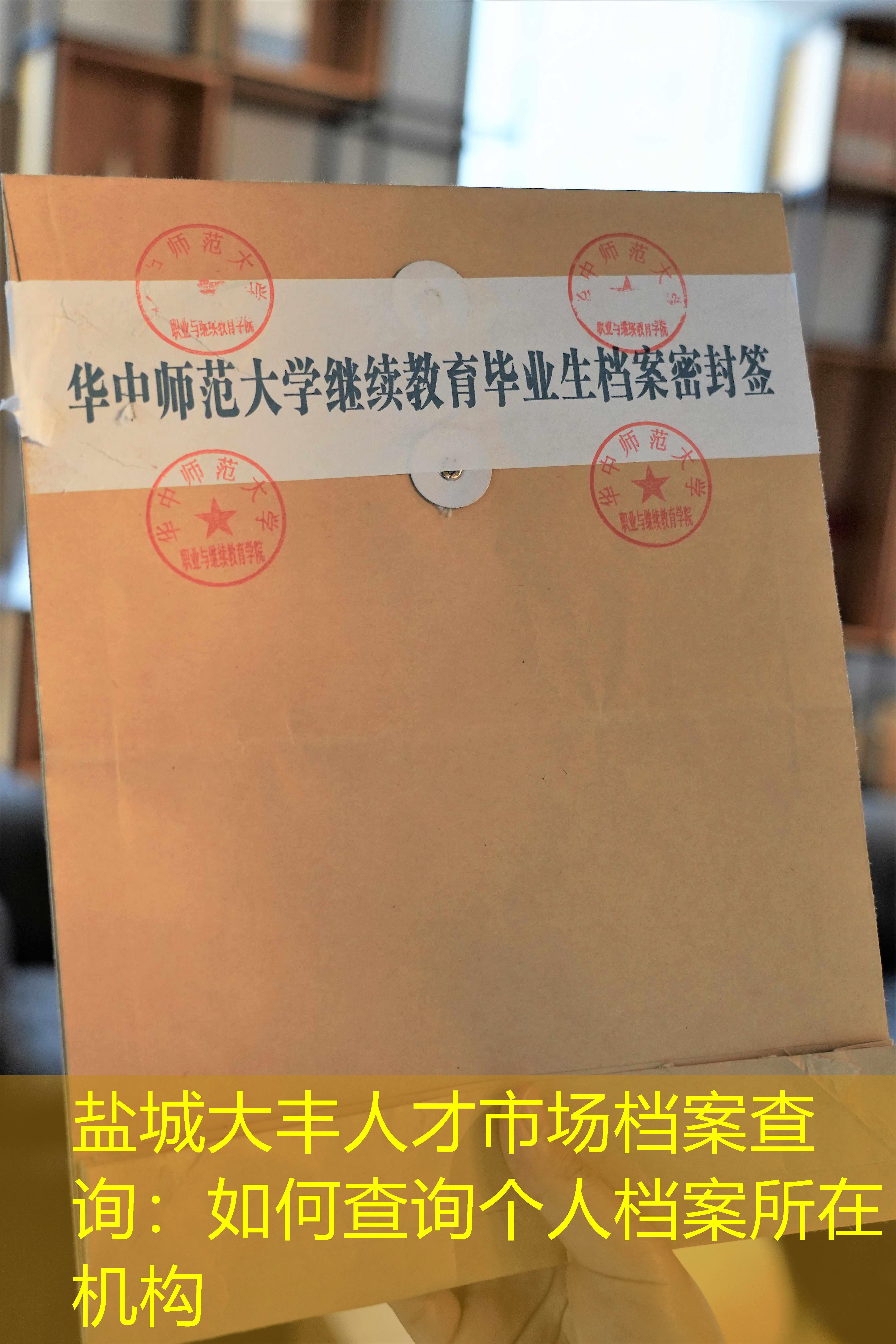 档案查询