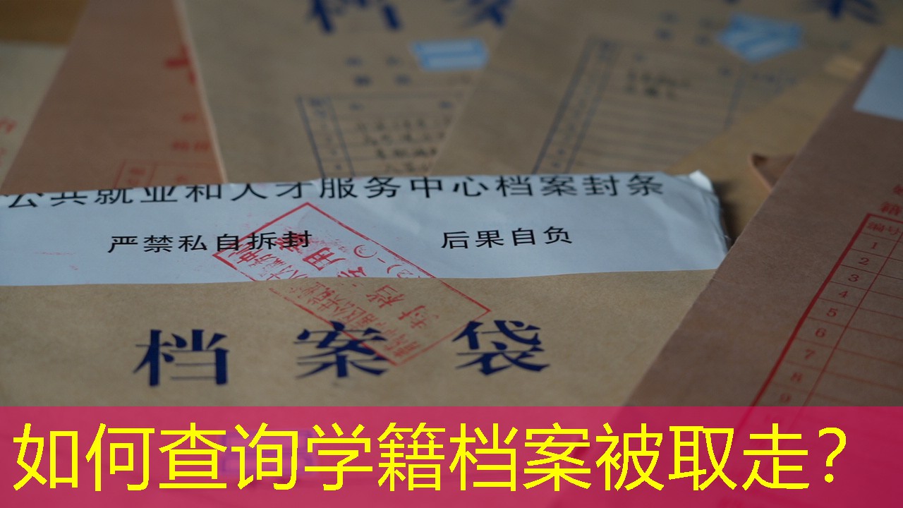 档案查询