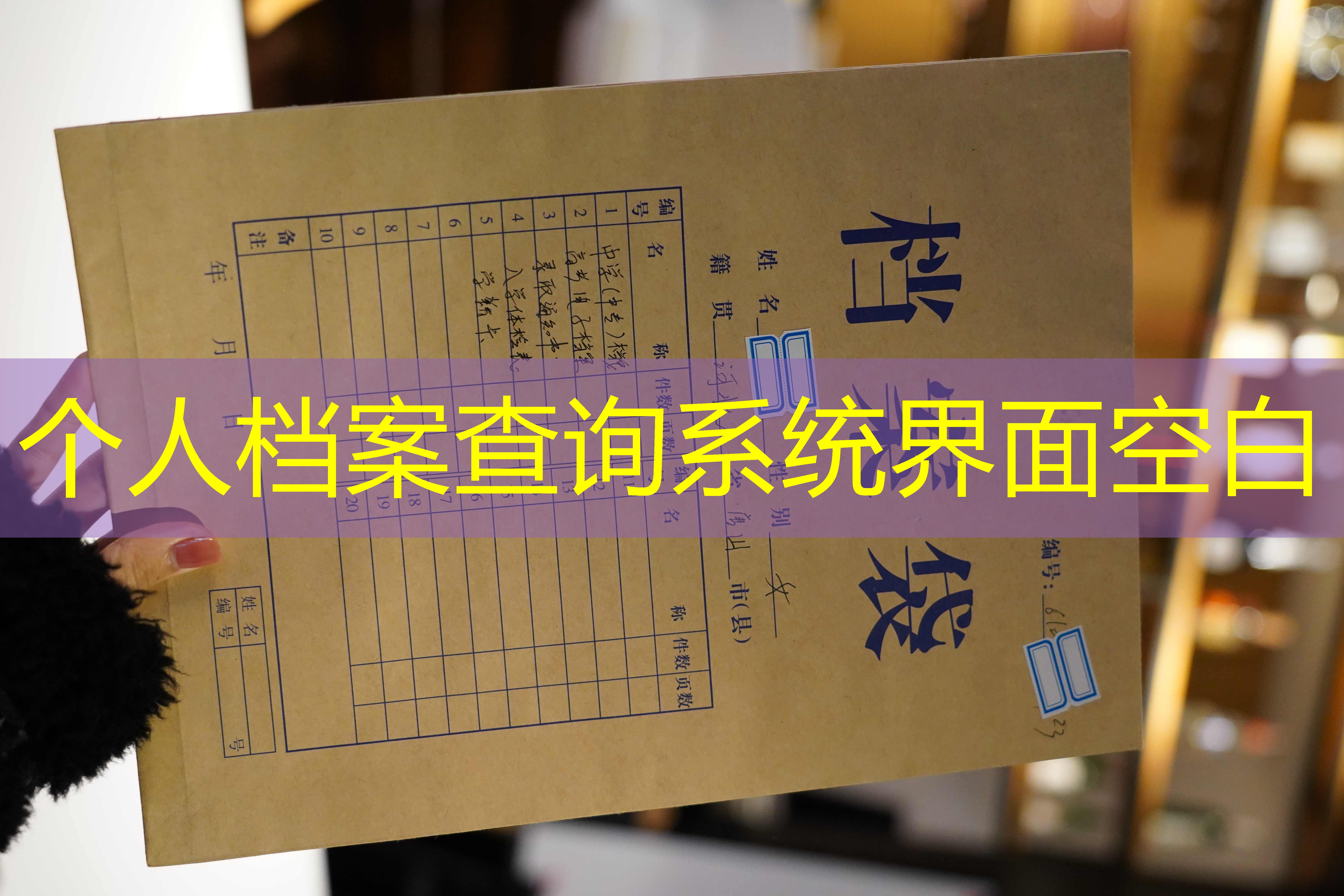 档案查询