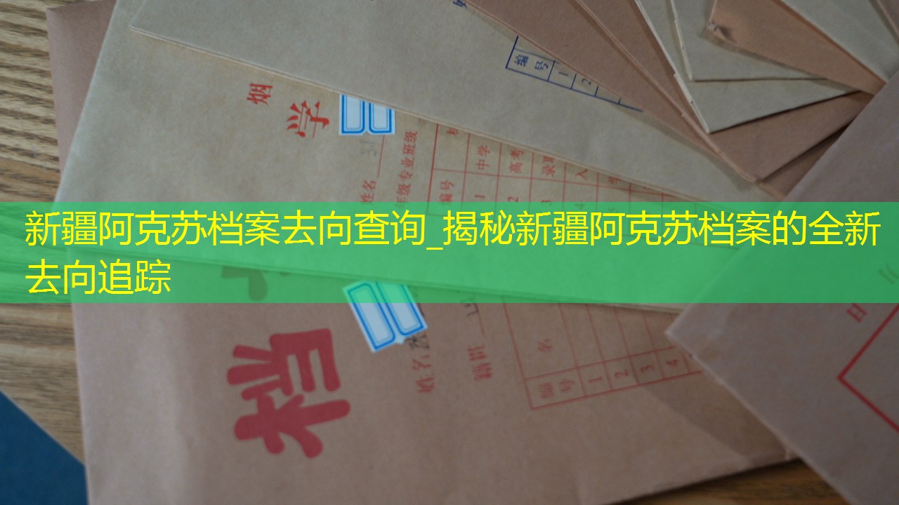 档案查询