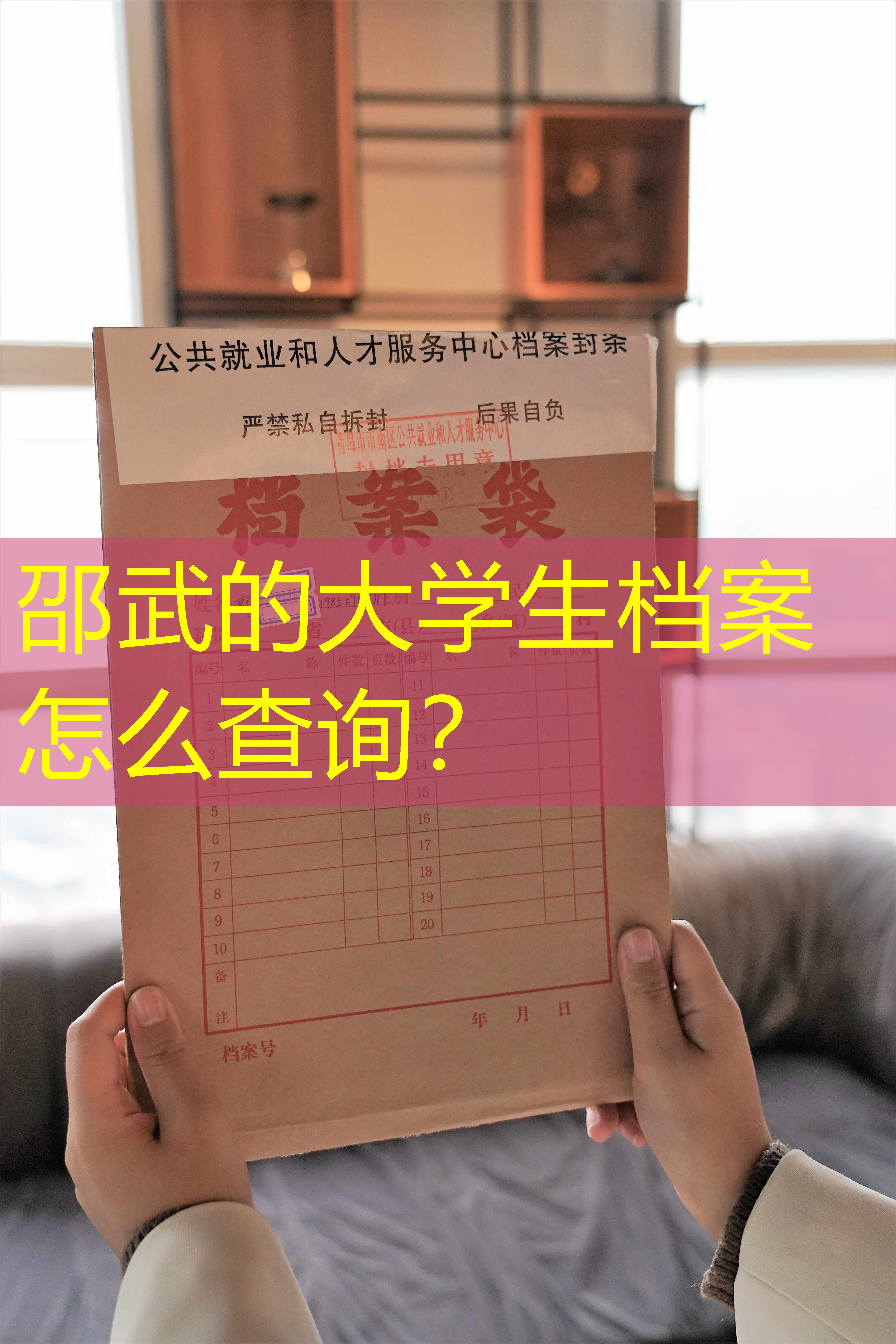 档案查询