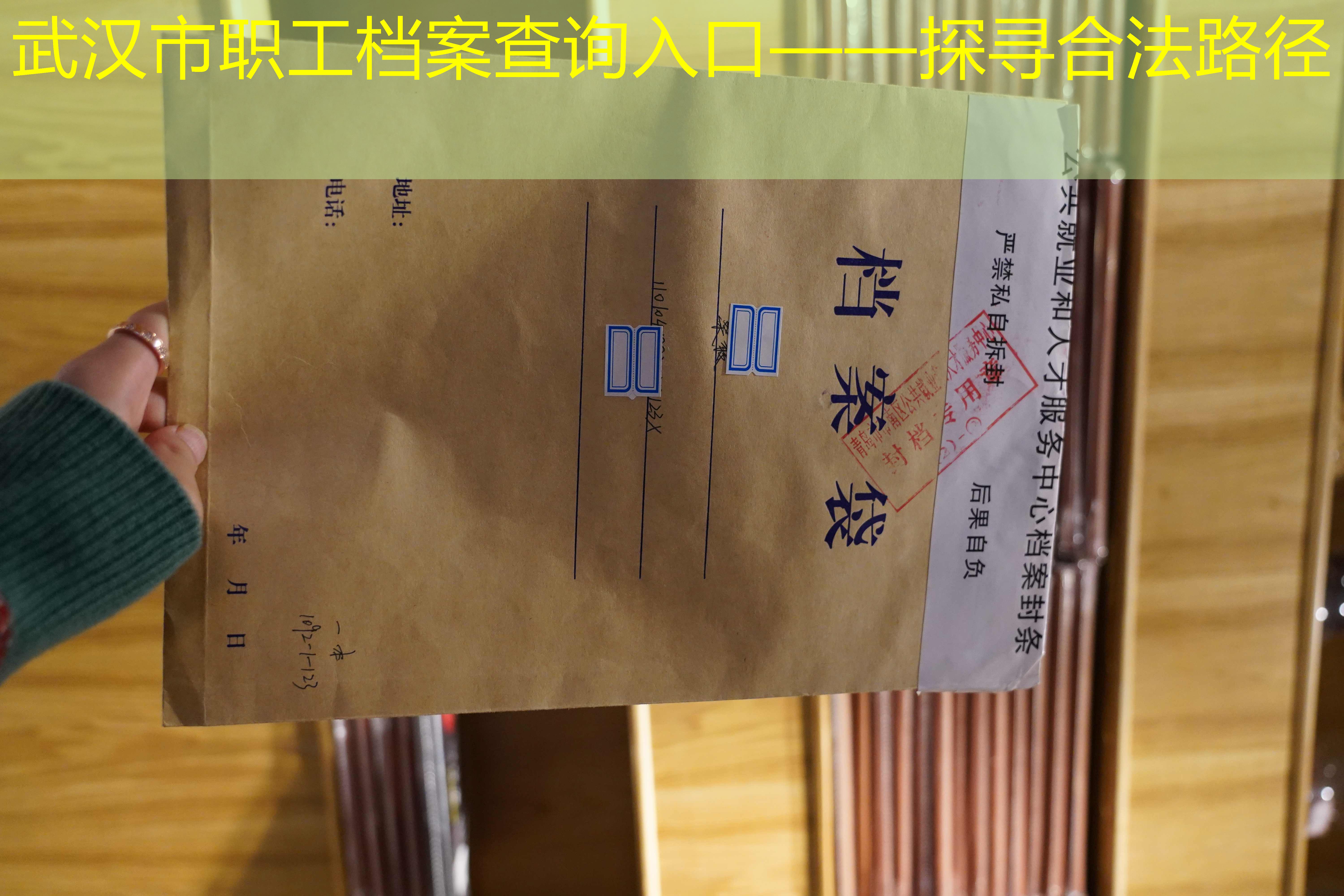 档案查询